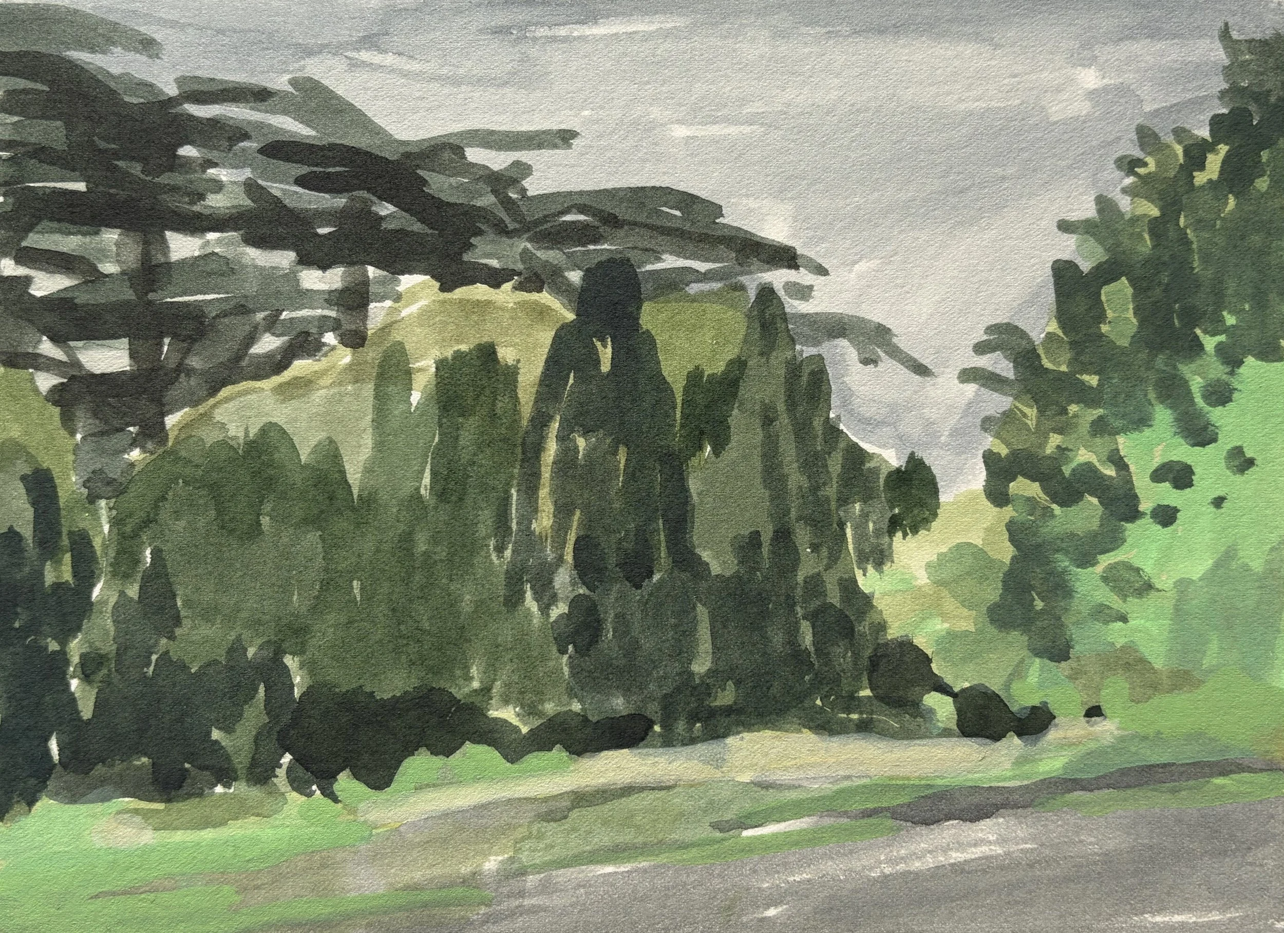 ‘Cedars’ Amberley, watercolour on paper, 2026