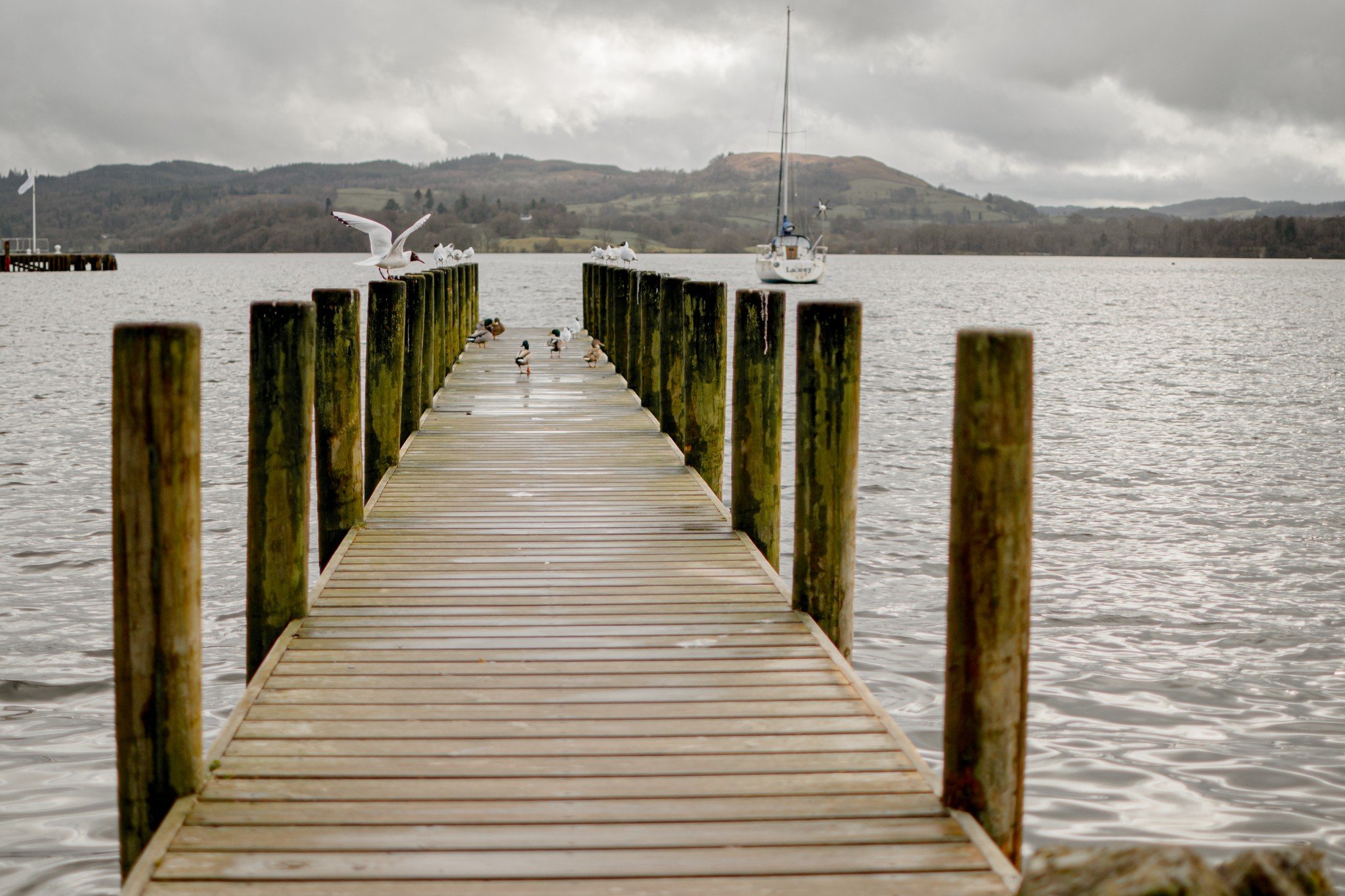 We've gone a bit moody with his one to match the weather at Ambleside but whatever the weather, let's be honest the Lake District is always beautiful!

 #windermere #lakewindermere #ambleside #lakedistrict  #northeastweddingsupplier