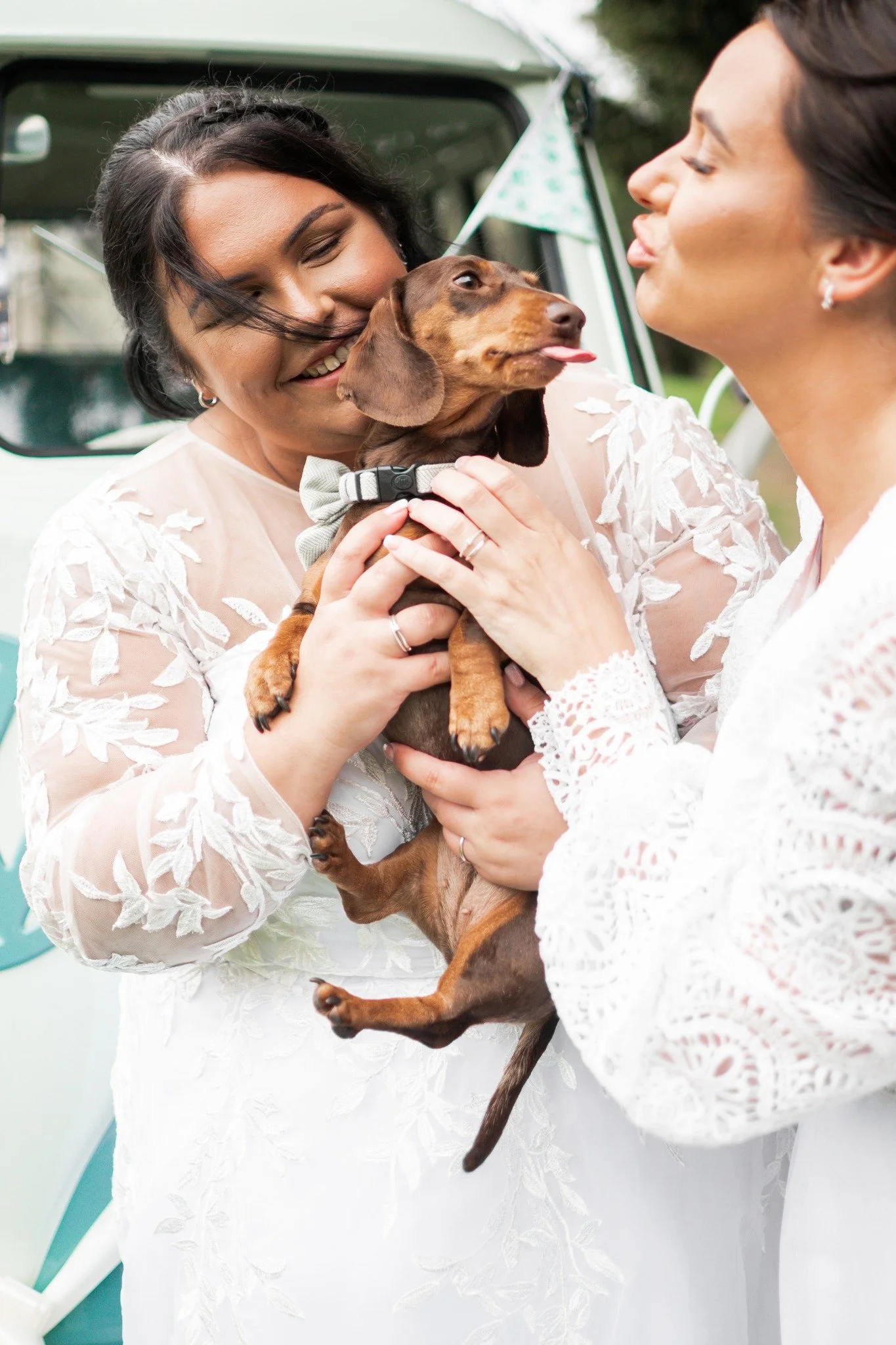 They say never work with children and animals but as a wedding photographer that's part of the job!

Even when little Nancy the sausage dog was being cheeky and poking her tongue out, we couldn't resist that little face! 😆

@bradburyglade 

 #northe