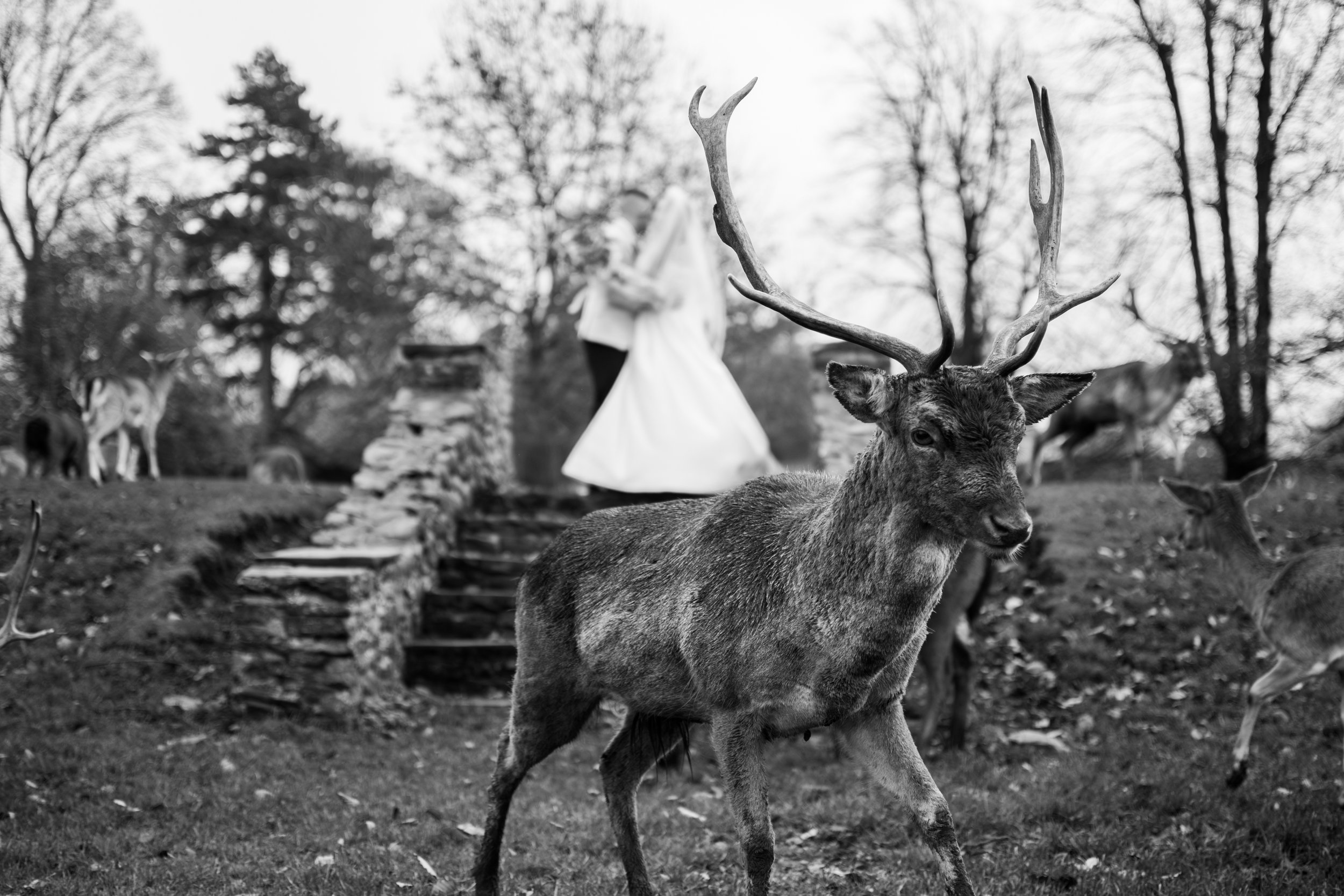 Whitworth Hall wedding photos