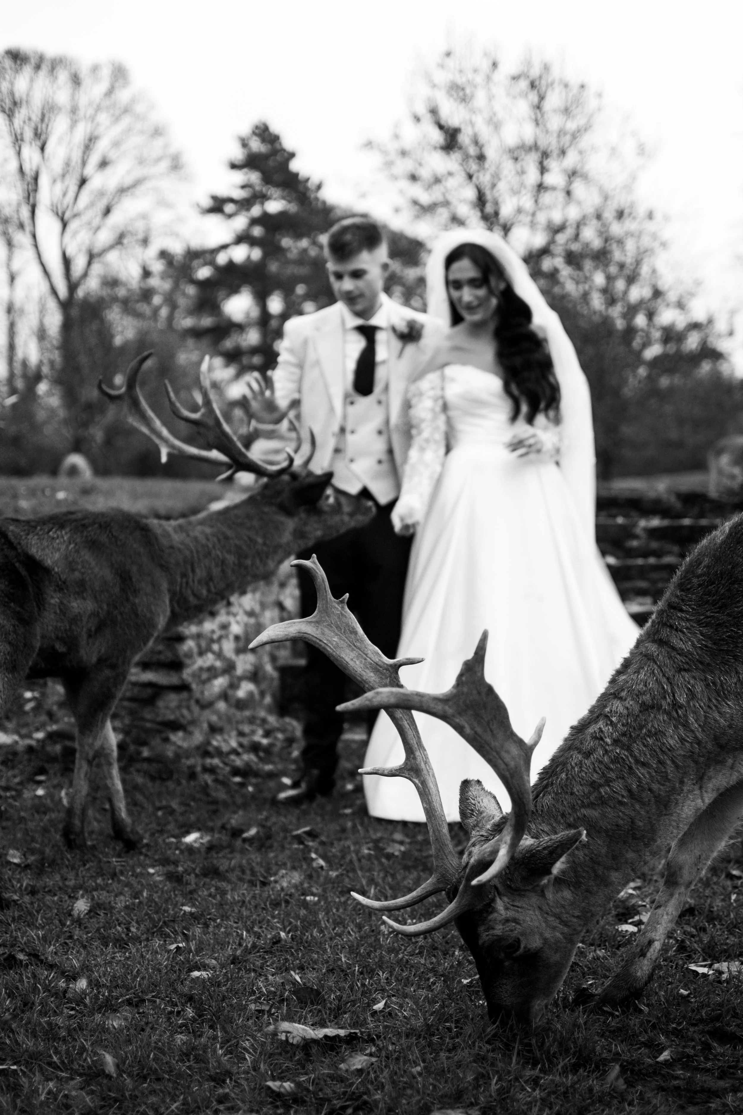 Beth & Isaac-416.JPG