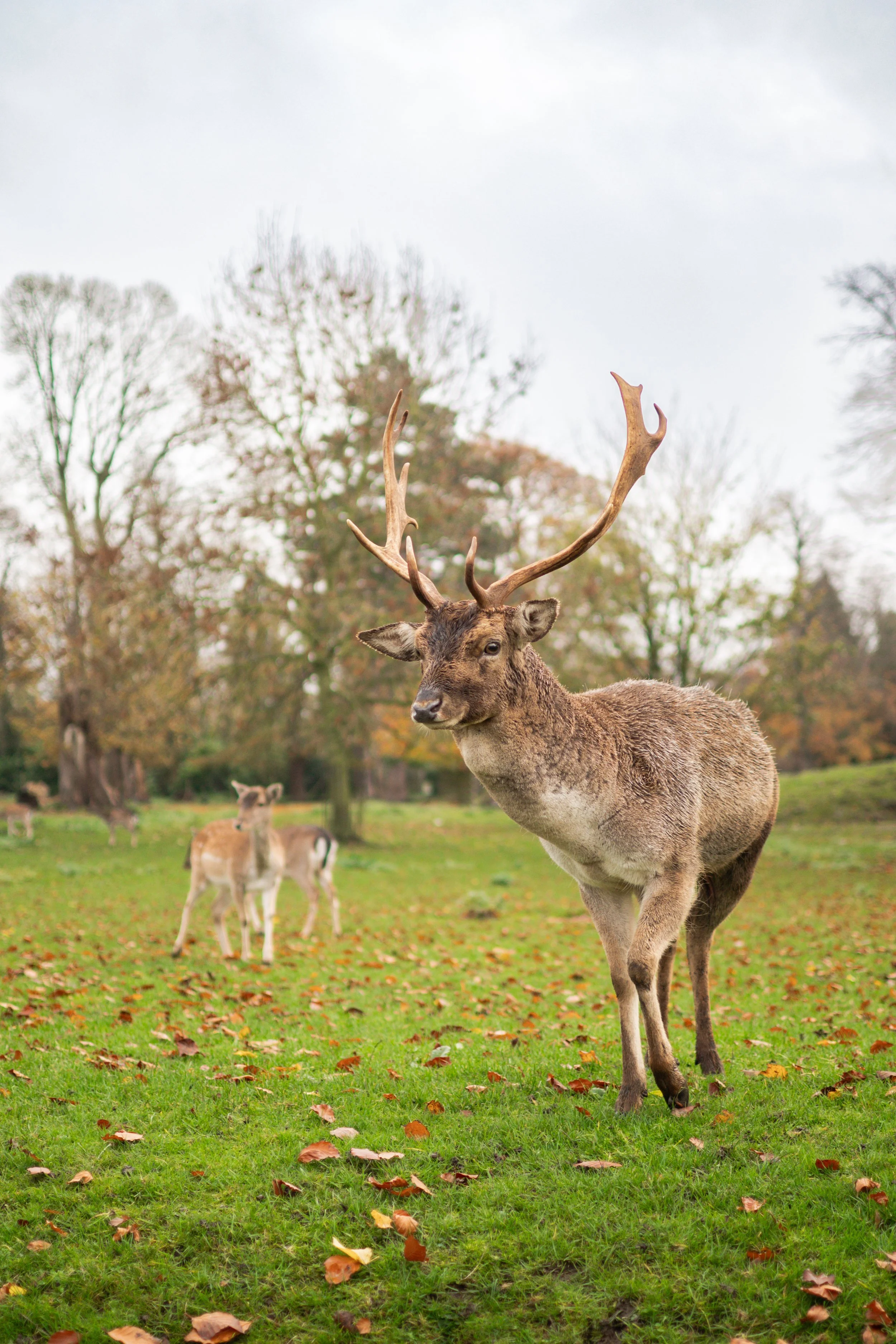 Whitworth Hall wedding photos