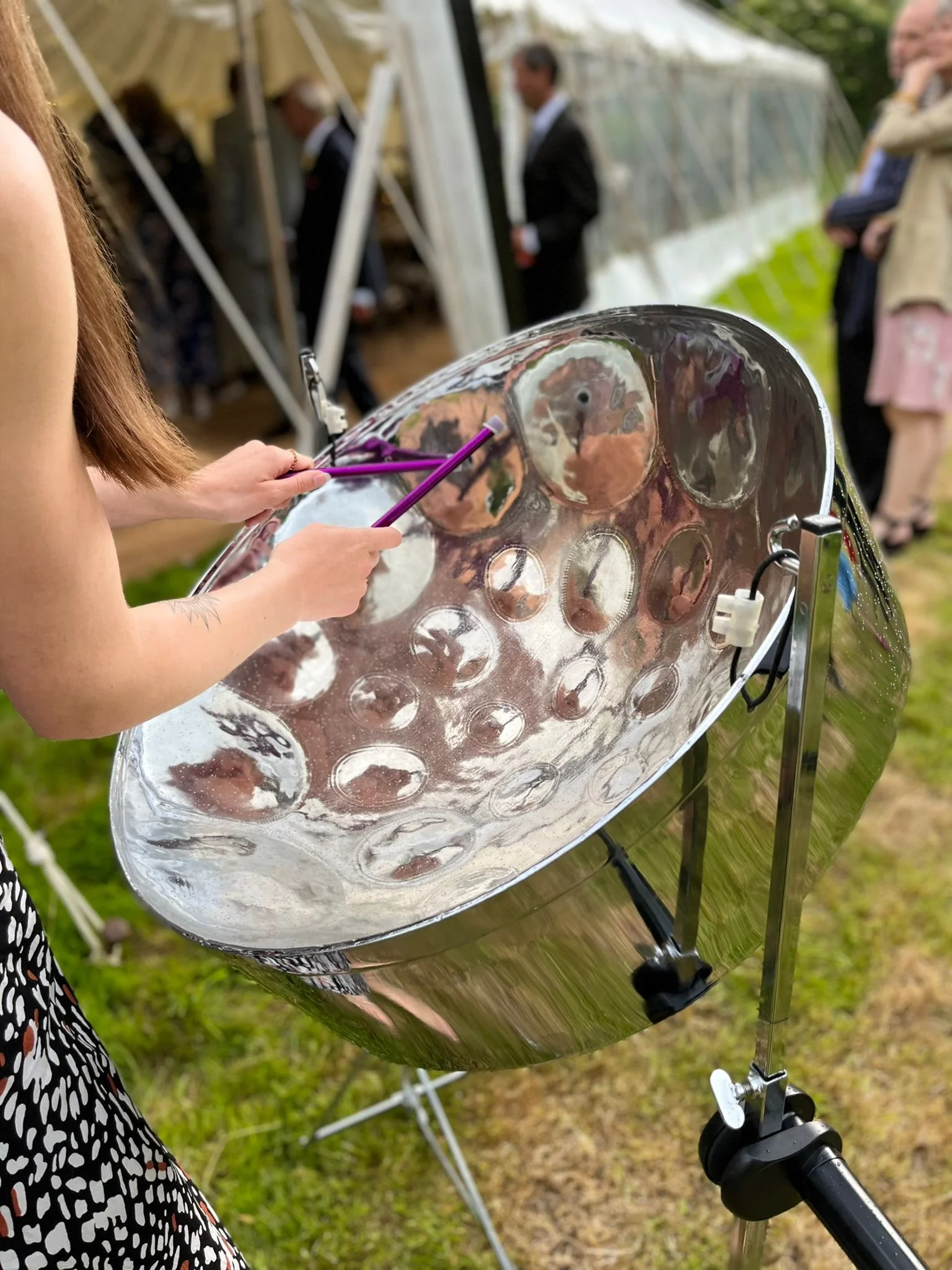 Mica Steel Band - West Sussex - Steelpan.jpg