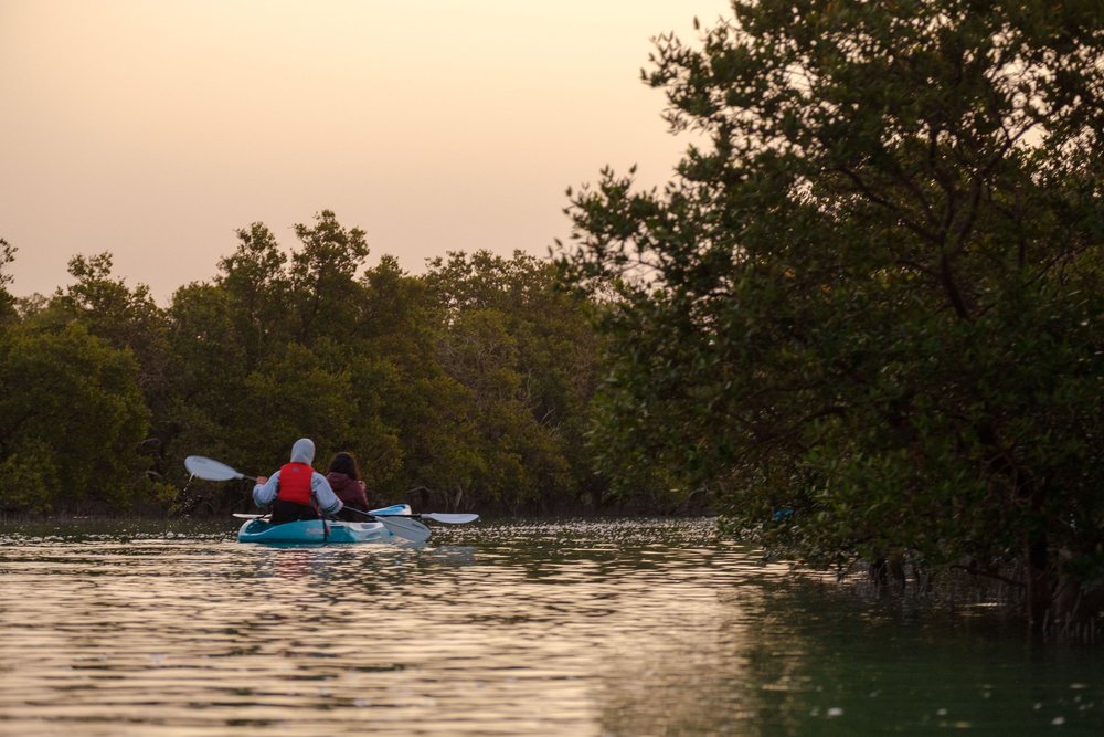 Kayaking In Abu Dhabi Eastern Mangroves Kayaking in Abu Dhabi
