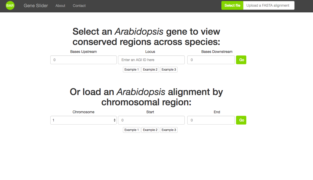 GeneSlider input screen