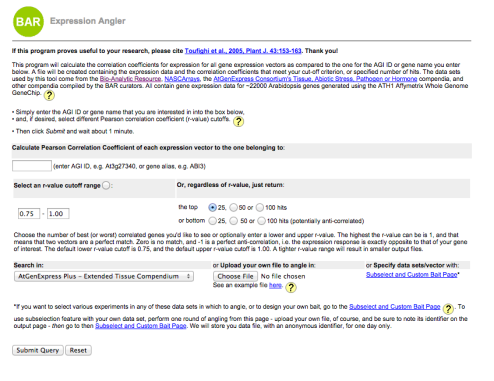 Original expression angler input screen