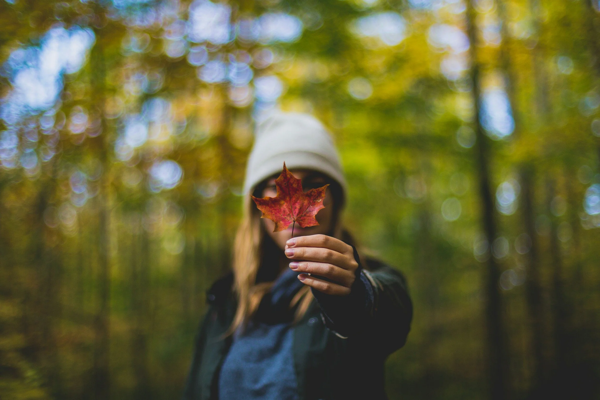 Person holding a red autumn leaf in focus, blurry forest background with fall colors.