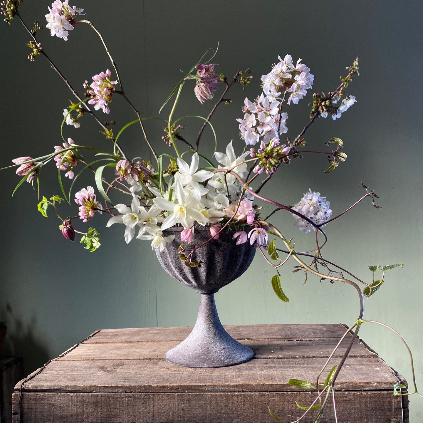 WORKSHOP NEWS! 

The Energising Beauty of Spring: 🪺 🌱 

Step into Spring with intention.

Spring is stirring, can you feel it? Buds unfurl, birdsong fills the air, and the earth hums with new beginnings. It&rsquo;s a time of renewal, to stretch tow