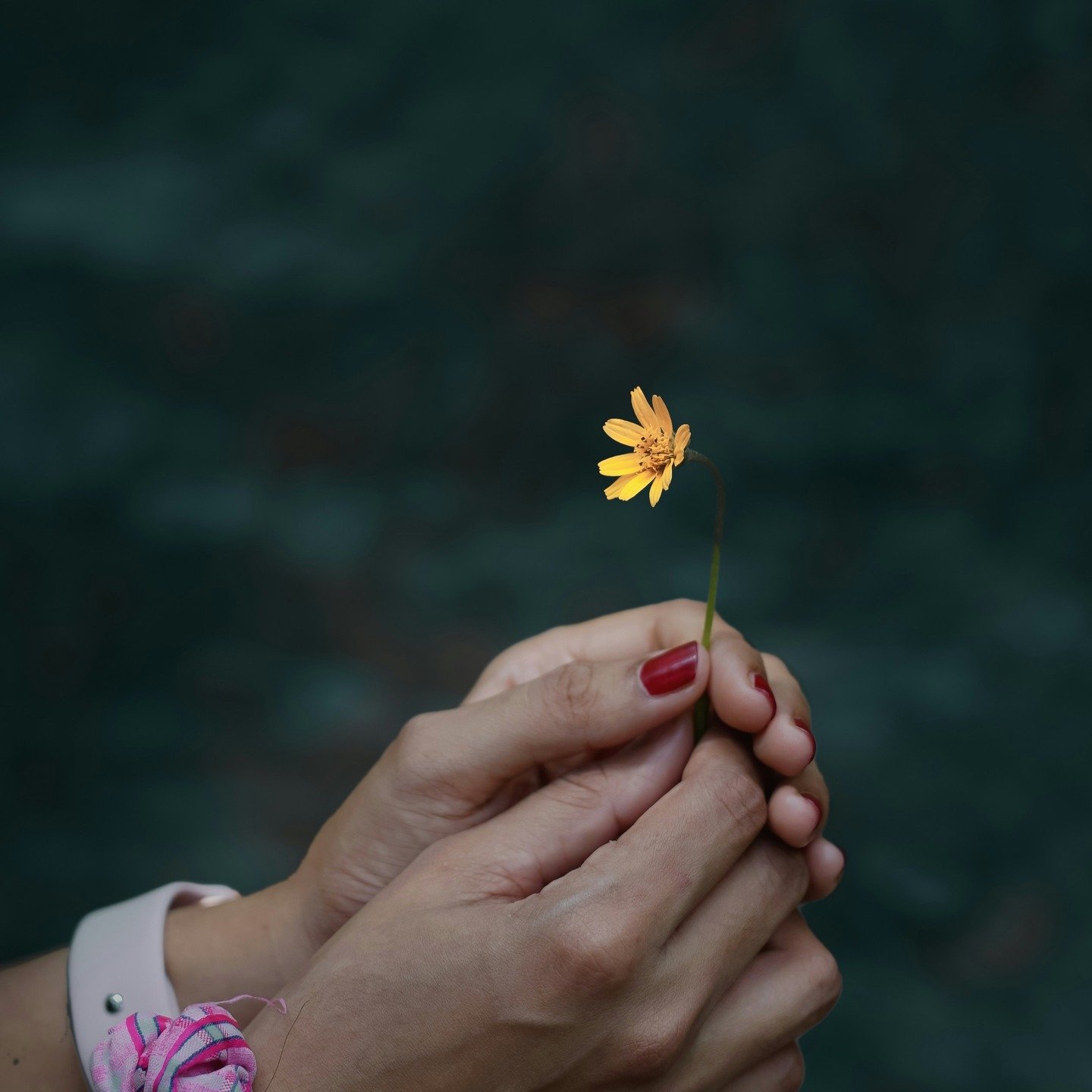A Different Way to Create Community and Support Women in Medicine : Gathering in Circle ⭕️ 🌿💛

Throughout history, women have gathered in circles.

Not to fix or compare, but to share.
To be seen. To be heard. To restore what the world drains away.