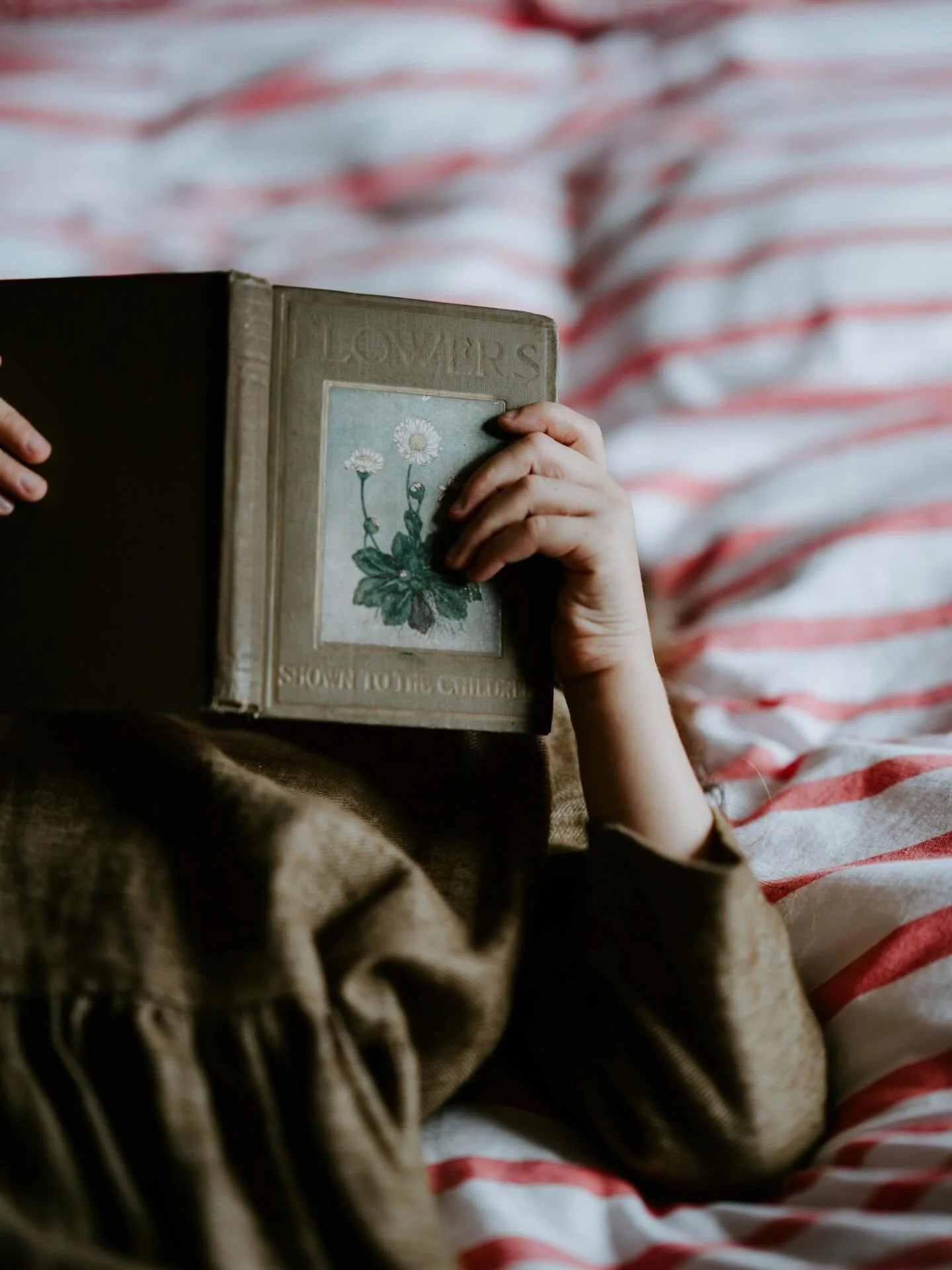 What if we stop treating rest as a reward to earn and begin appreciating rest as a gift to receive?

What if our healing is found in noticing when we are choosing to ignore or refuse the gift? 

Wha if we chose to open our hearts and minds to somethi