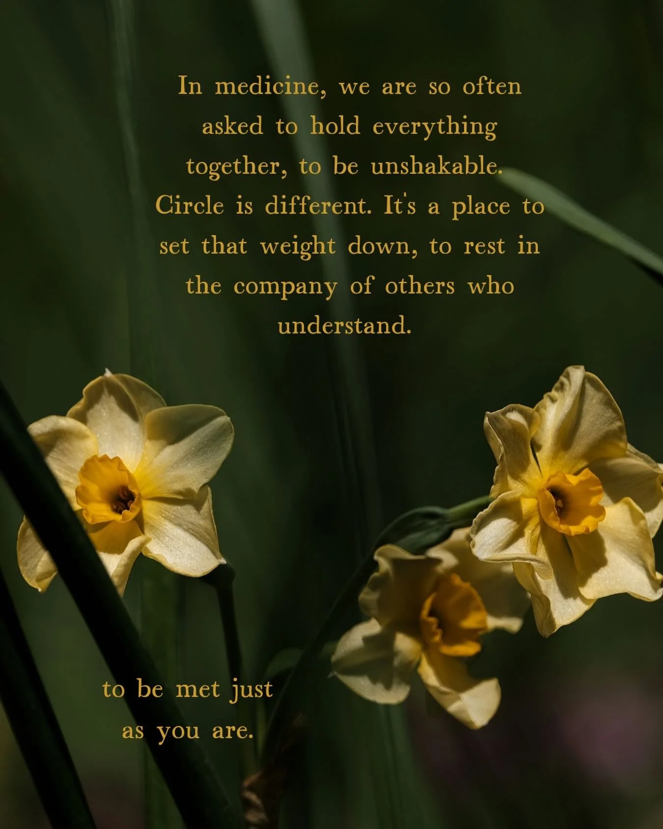 April is when the light comes back. It&rsquo;s a good time to gather.

When you pause, reflect, and restore, you return to your work, your family, and your patients with more capacity and kindness.

Circle isn&rsquo;t mystic or vague, it&rsquo;s grou