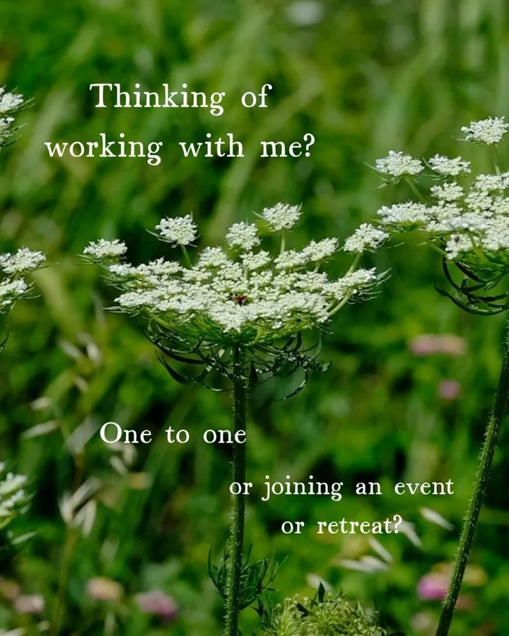 Hello to all the new faces on here 👋🏻

I&rsquo;m Alison, a former GP and the founder of Earth &amp; Bloom 🍃

A career spanning over twenty years in the #nhs - since 2018 I&rsquo;ve worked with hundreds of doctors and healthcare professionals throu