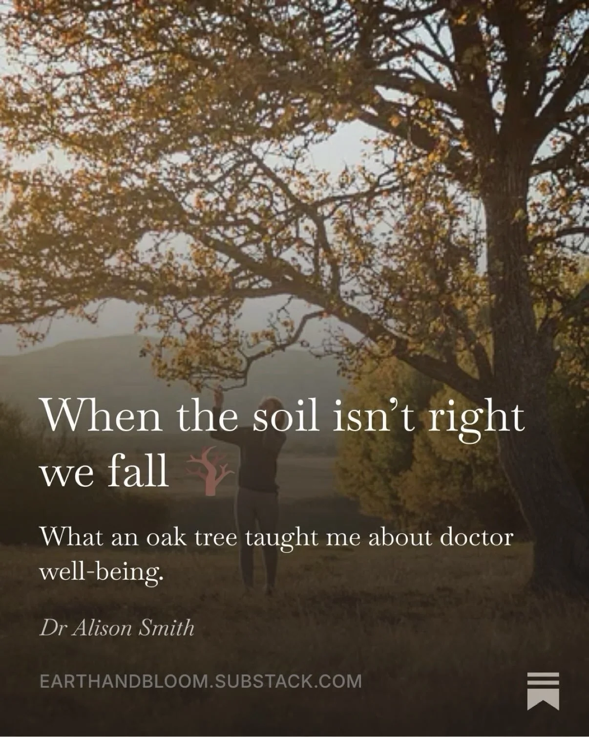 Latest blog post inspired by one of my favourite oak trees 🪾🍂 which sadly fell last winter. 
Got me thinking about doctor wellbeing and how important our own &lsquo;soil&rsquo; is. 

Yes that&rsquo;s how my mind works&hellip;😵&zwj;💫🪾🍂🍃🍃

Read