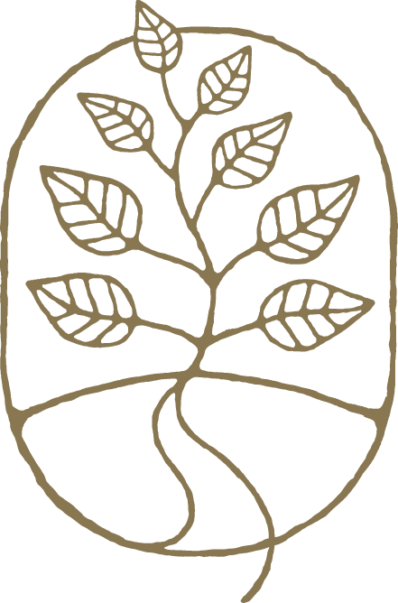 Line drawing of a plant inside an oval shape with multiple leaves and a root system at the bottom.