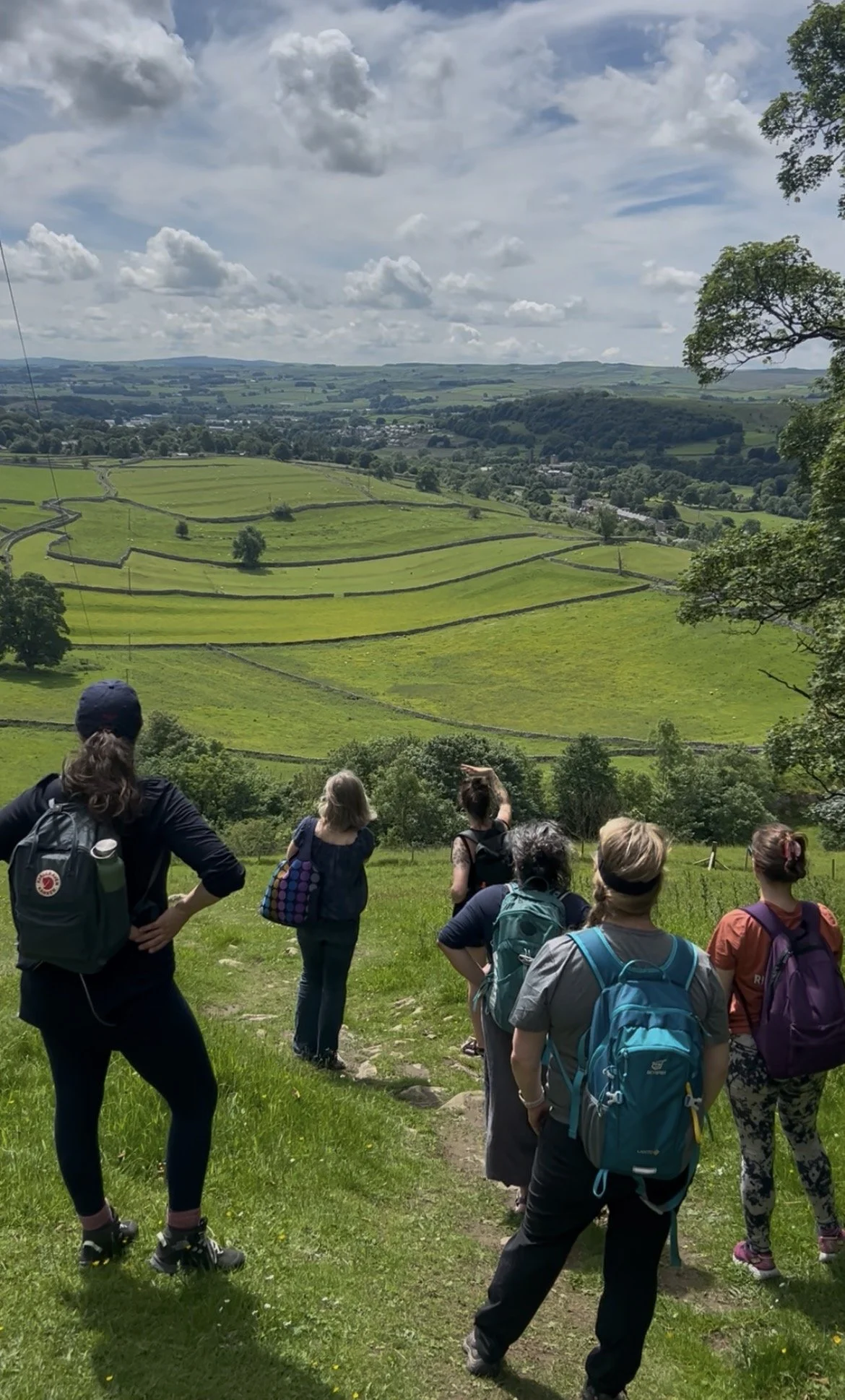 Group of hikers with backpacks standing and looking at a terraced green landscape with rolling hills, trees, and a partly cloudy sky.