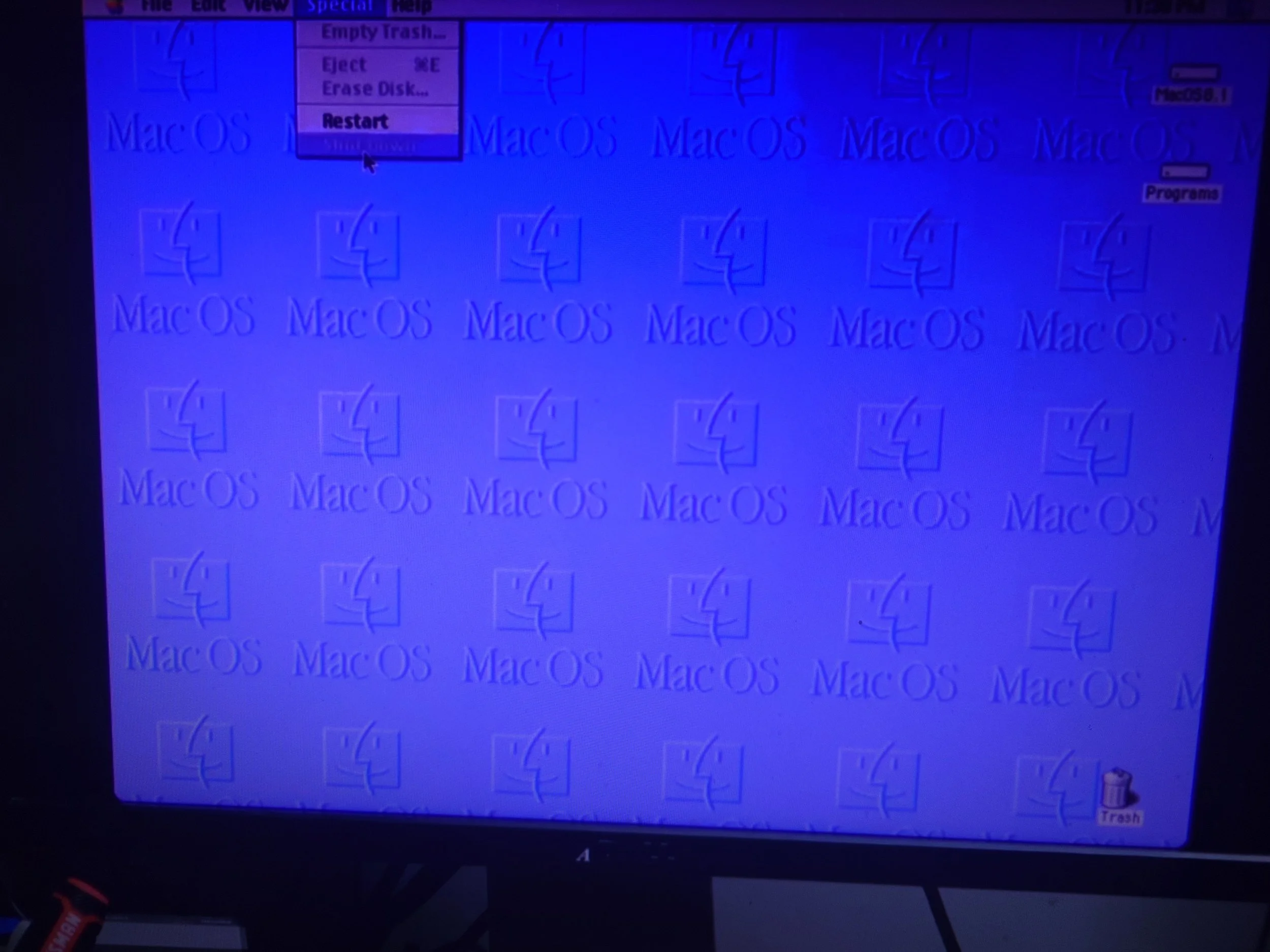 64749.jpg