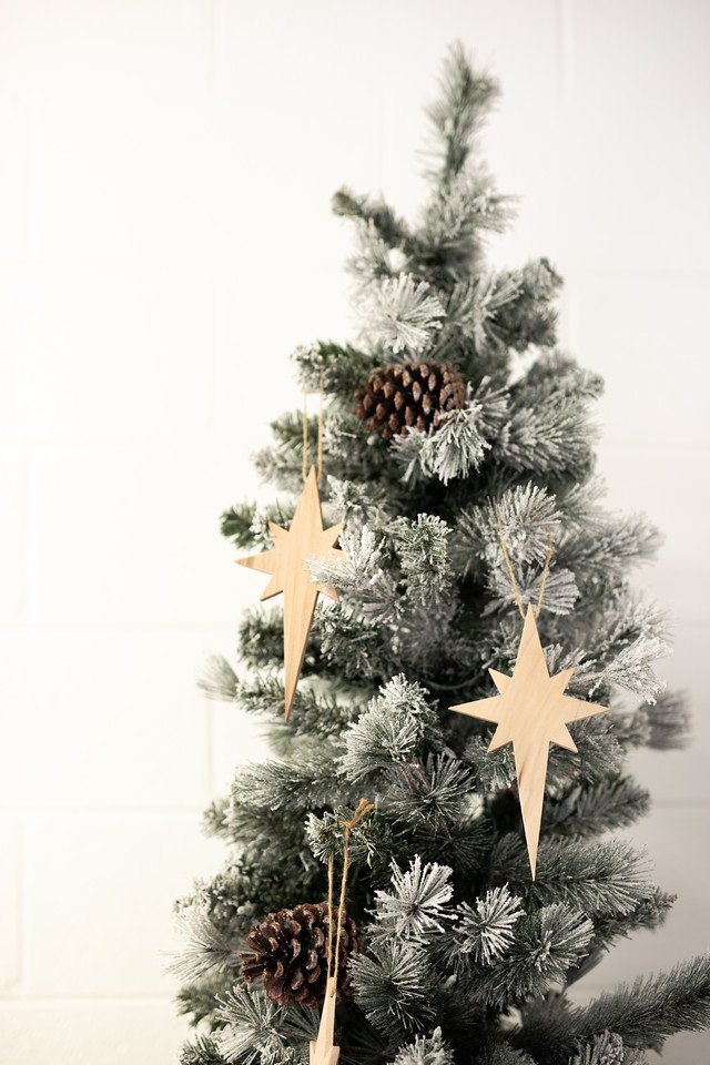 Tree Ornament.jpeg