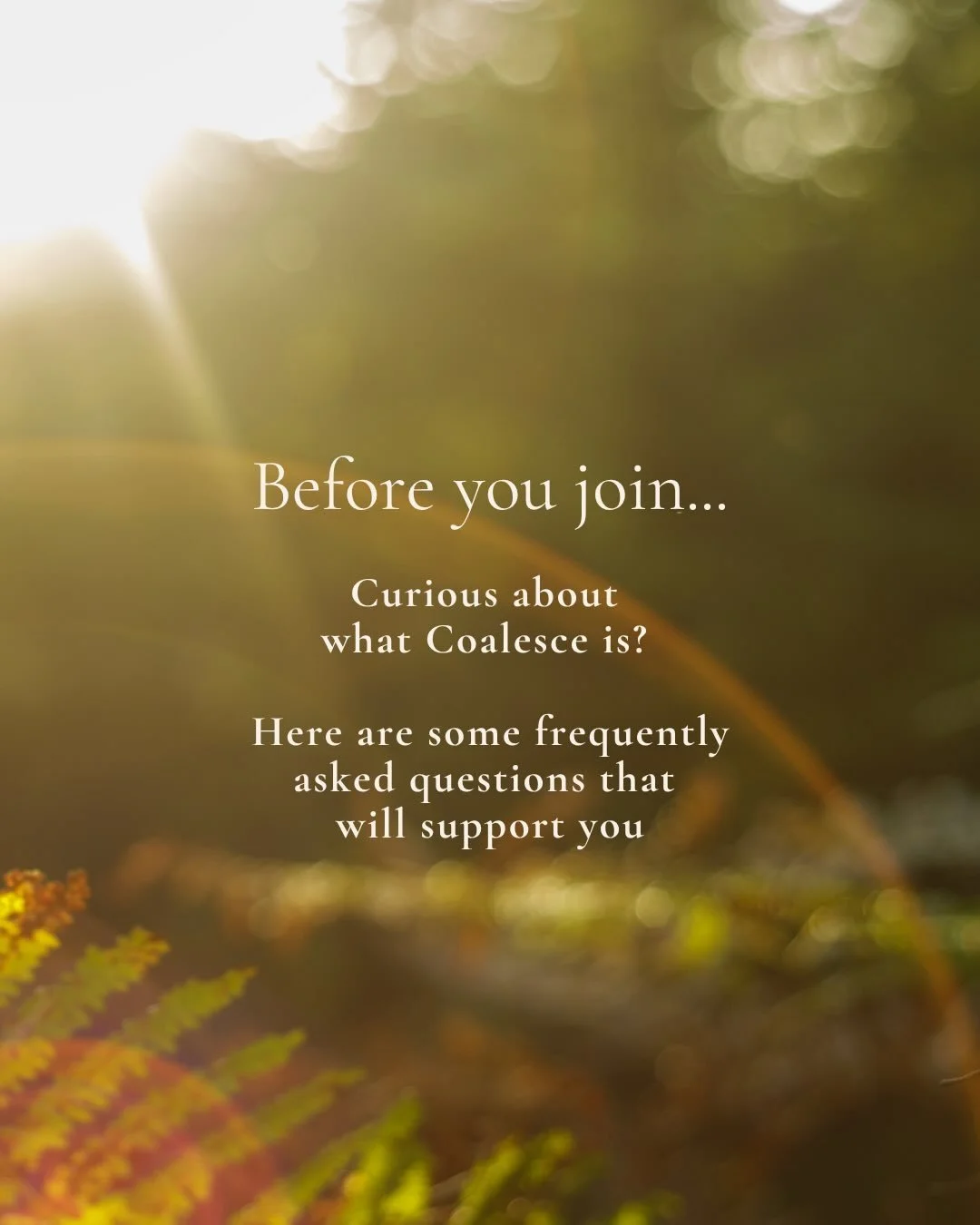 You&rsquo;ve been curious about COALESCE.

Maybe you&rsquo;ve read the website.
Maybe you&rsquo;ve sent it to your partner.
Maybe you&rsquo;ve thought, this sounds amazing&hellip; but is it actually for us?

So, let&rsquo;s answer a few of the questi