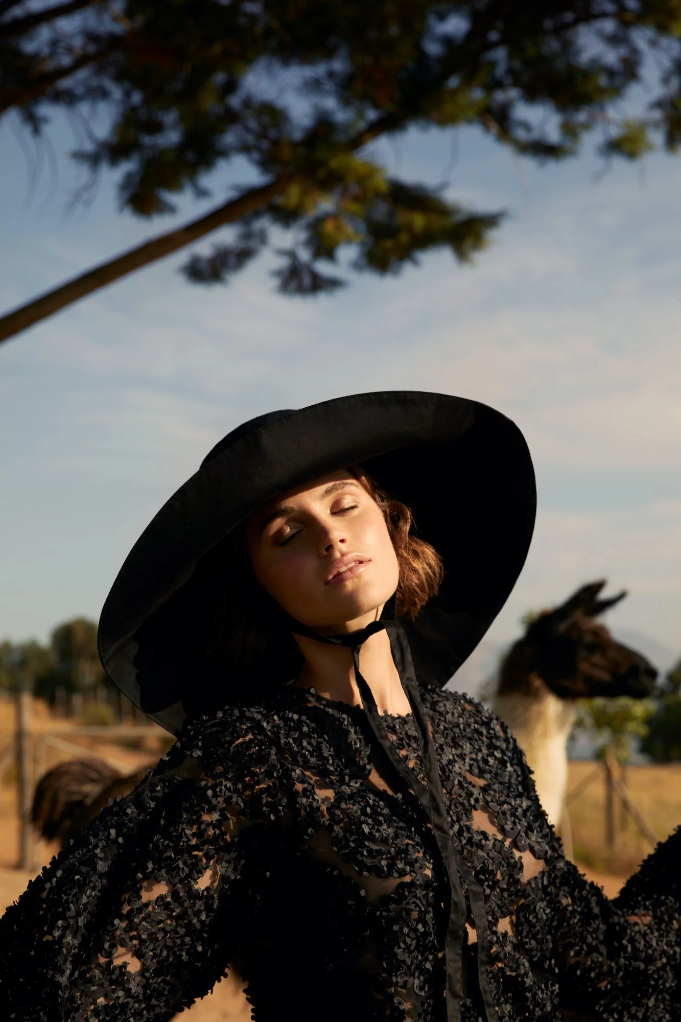 ALEX TROMMLITZ 03.jpg