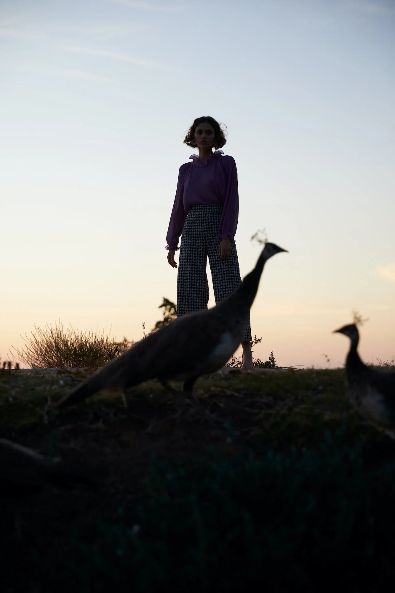 ALEX TROMMLITZ 12.jpg