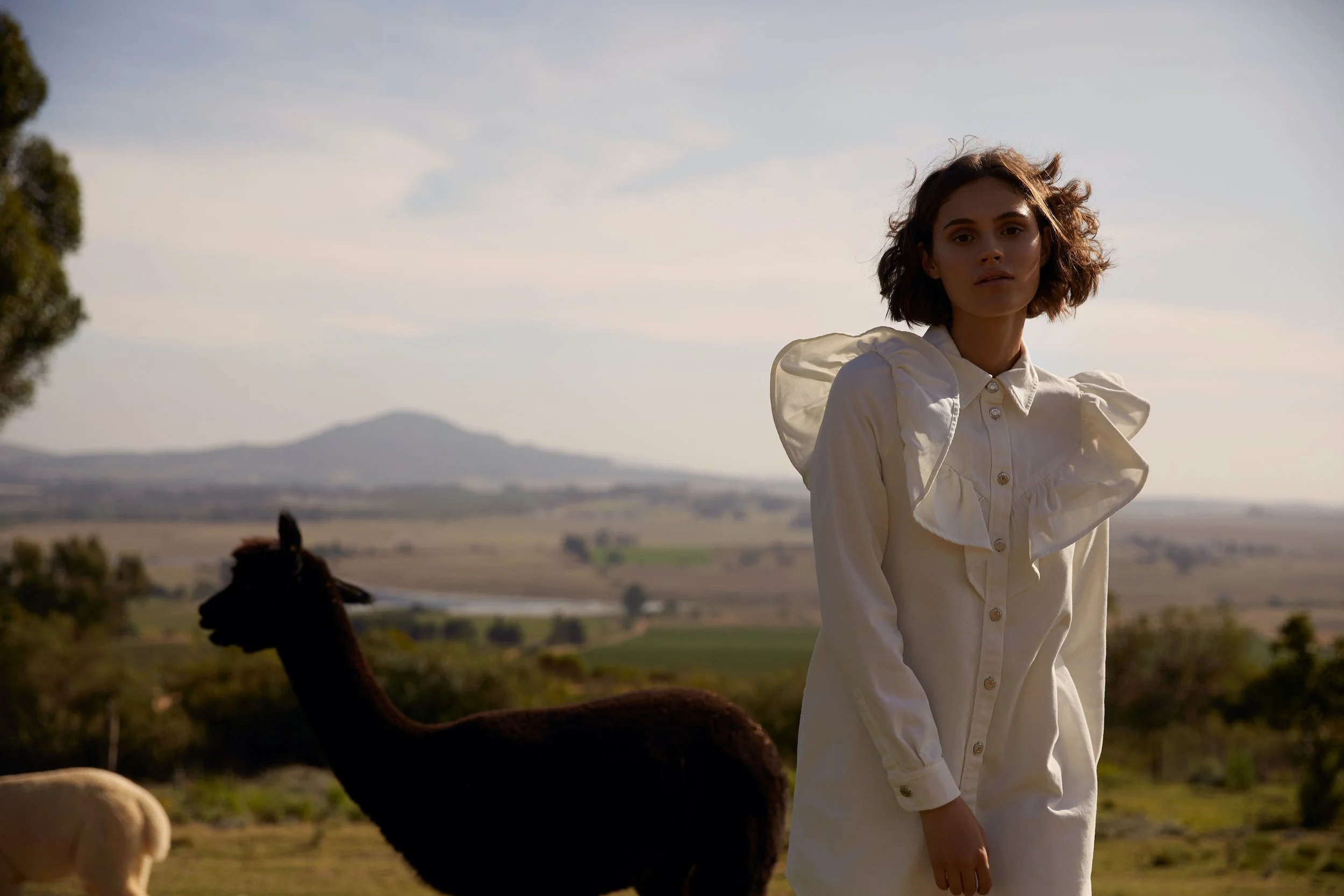 ALEX TROMMLITZ 02.jpg