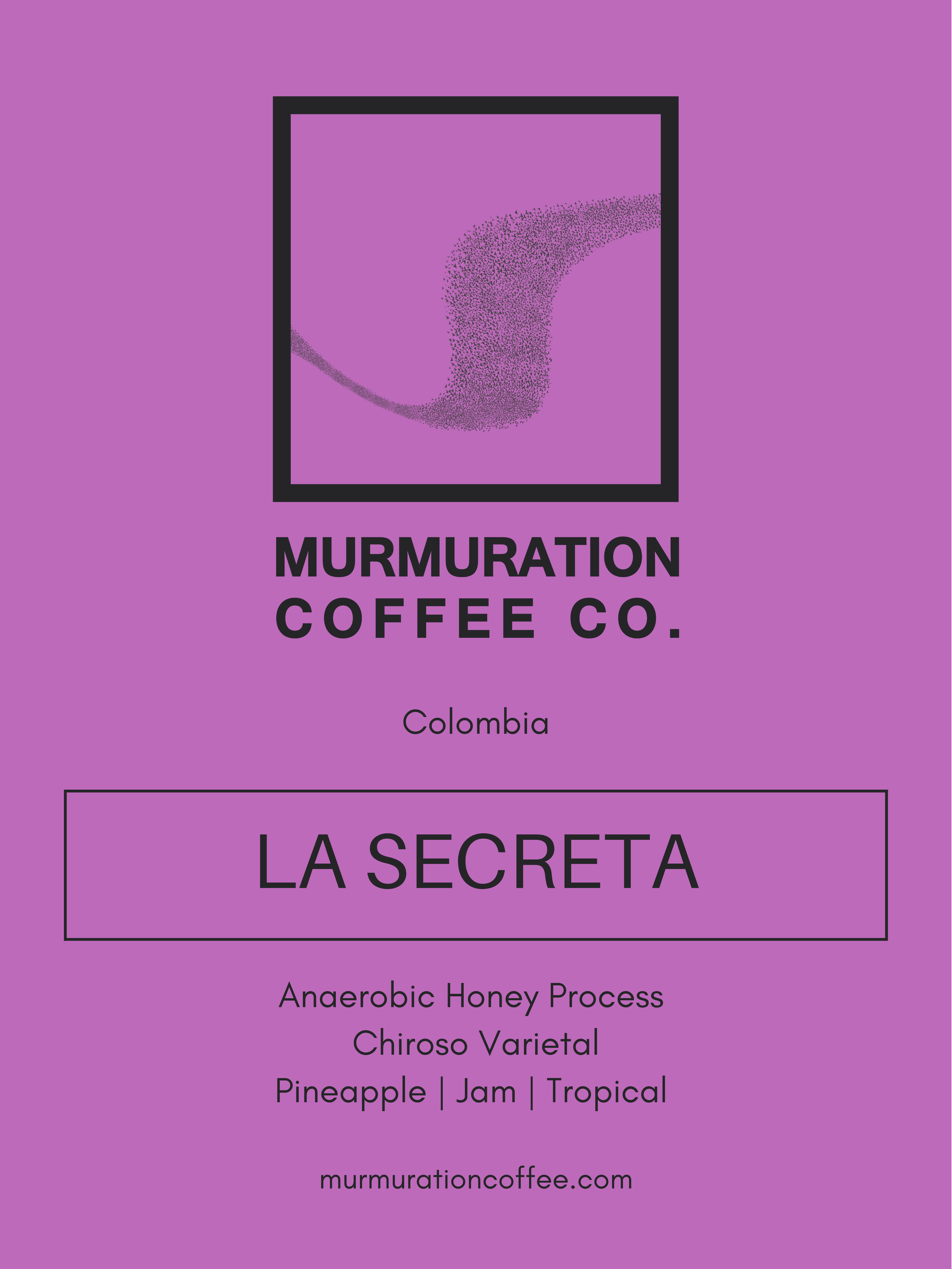 Murmuration-14.png