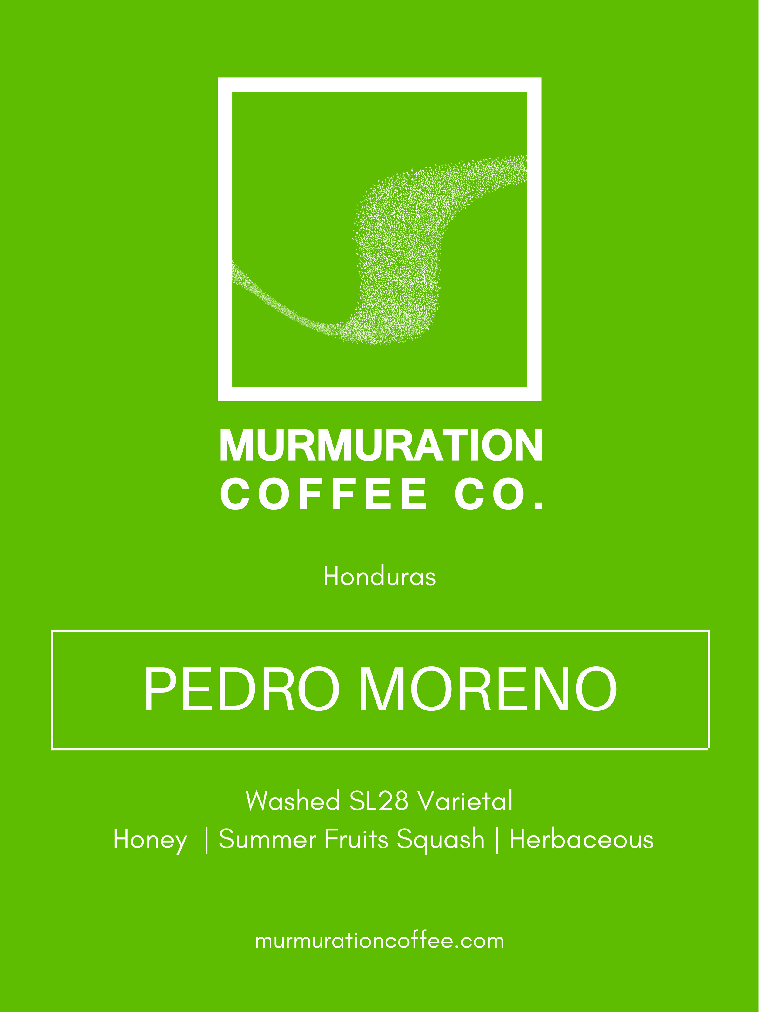 Murmuration-15.png