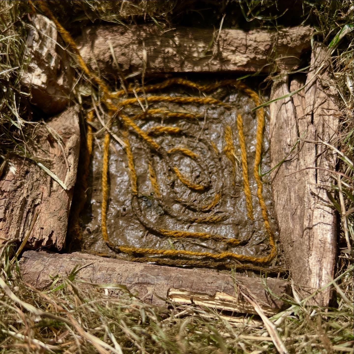 What is a nest?
Explorations in charcoal, sticks, mud and found site objects @yourallypally this week with Primary School children from schools in the London borough of Haringey.