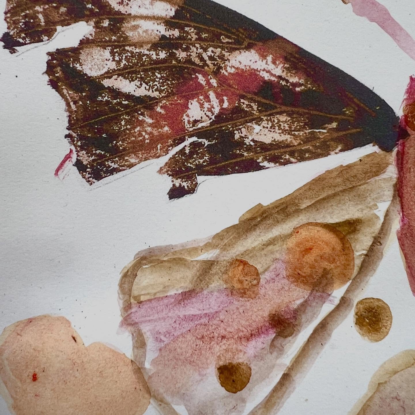 More beautiful ‘repair’ paintings to a broken butterfly wing found on site. Local primary school children during Outdoor Learning Sessions @yourallypally