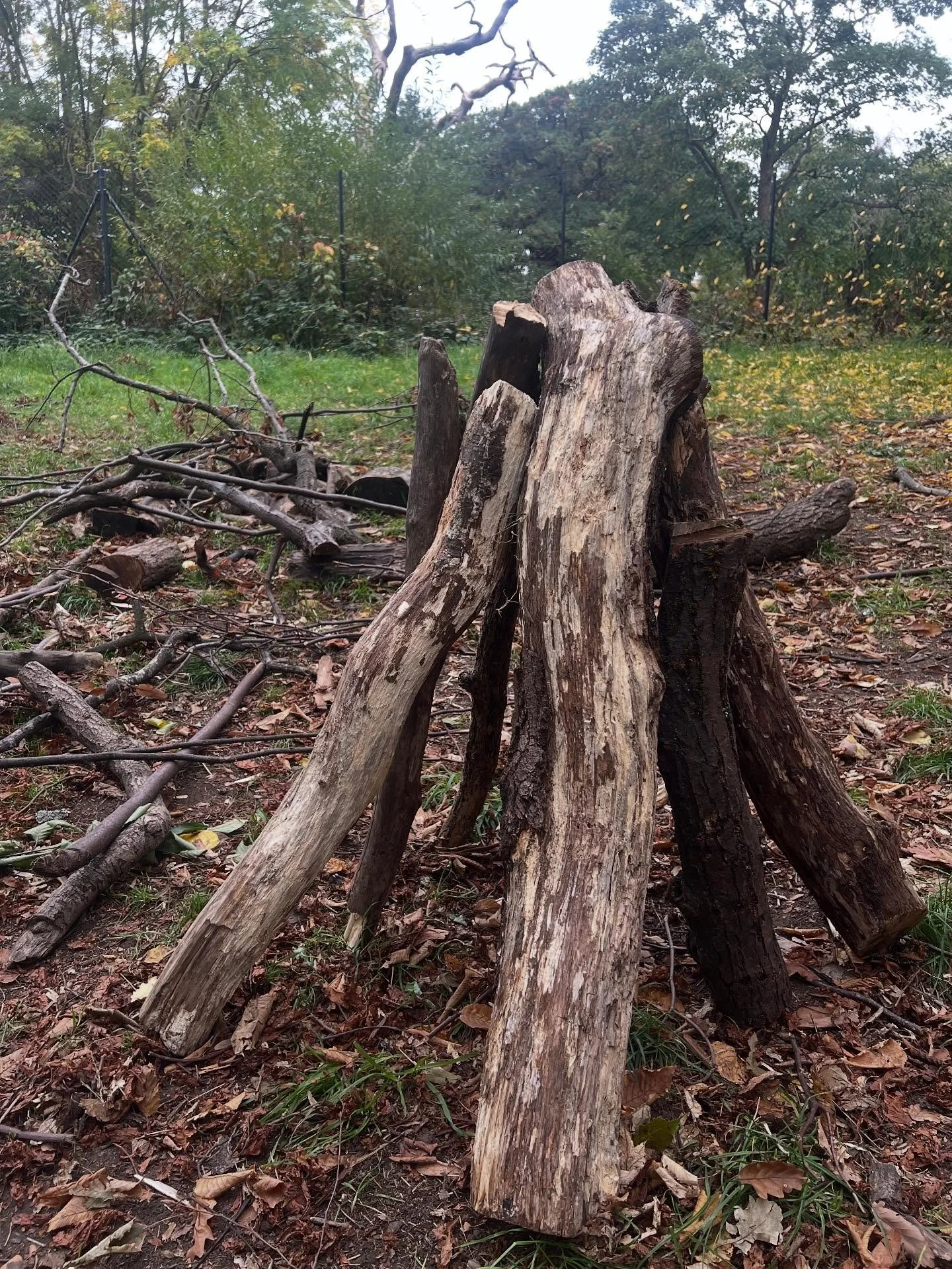 More 
Structures of Play
Playful Structures

#threedimensional #drawings left behind by YR5s after a Creative Outdoor Learning Session @yourallypally
