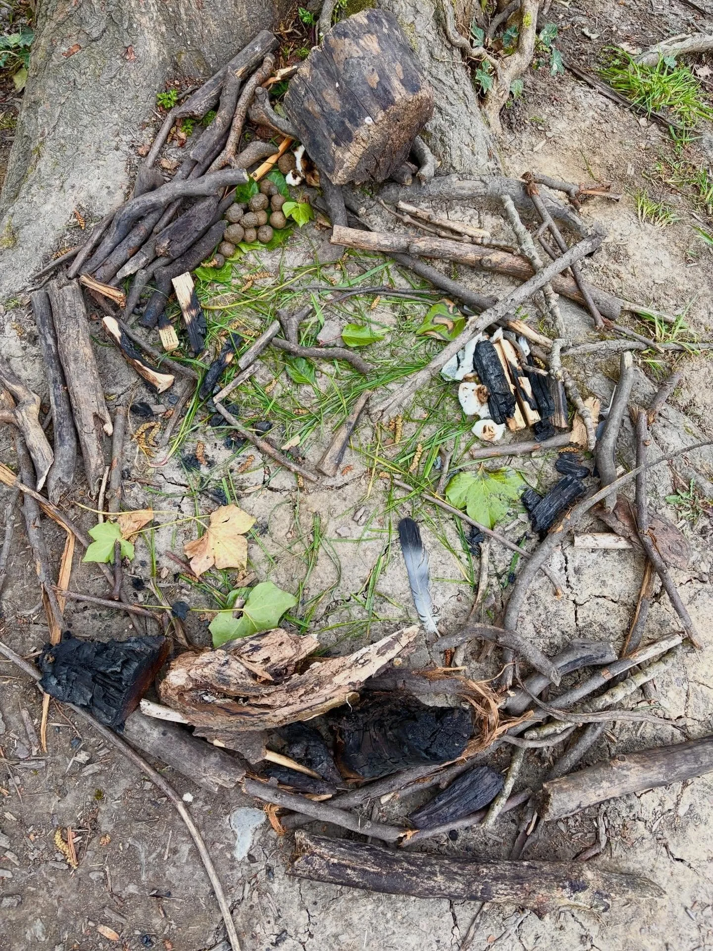 A Nest &hellip;&hellip;. Gathered&hellip;&hellip;&hellip; by Year 1s.

It started with two 6 year old girls and then two more and soon half the class were involved in this collaborative creation.