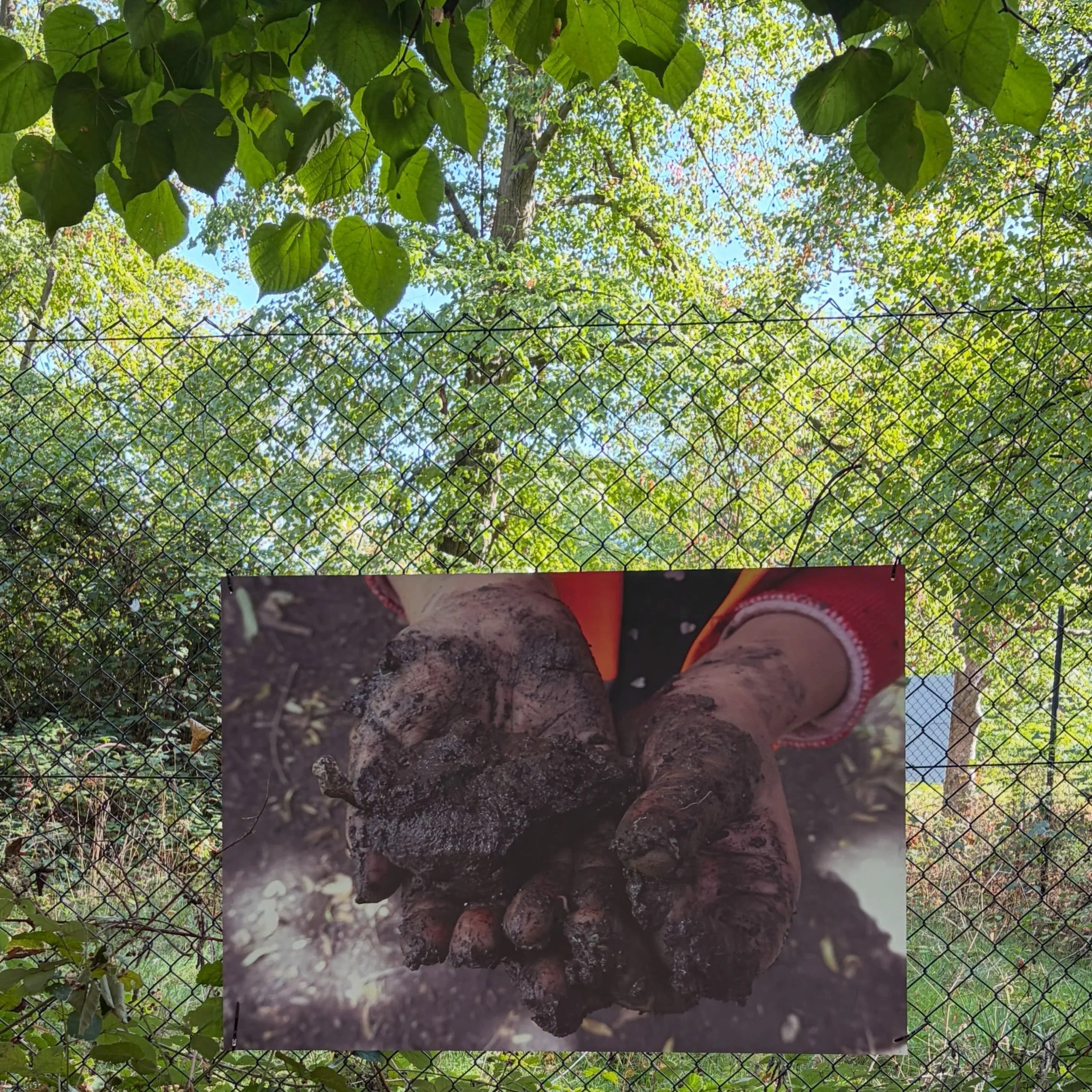 Wrapped in Leaves and Laughter - now permanently installed in the parkland @yourallypally 

These photographs document the interaction and experience of children immersed in nature.

The work has been made from a collaboration with @laurafoxartist an