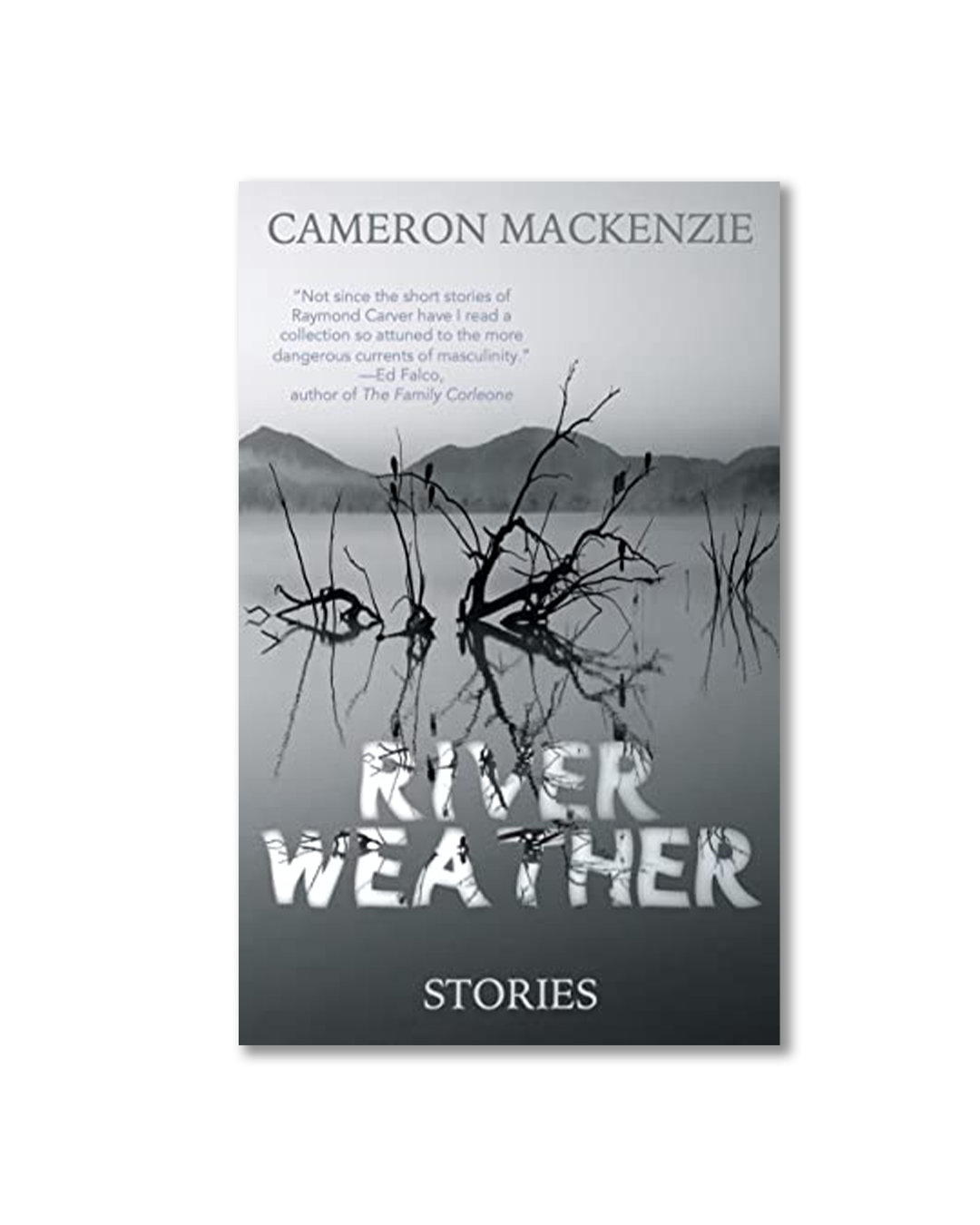 The Enormous Scope of Male Desperation On Cameron MacKenzie's "River Weather" — Cleveland