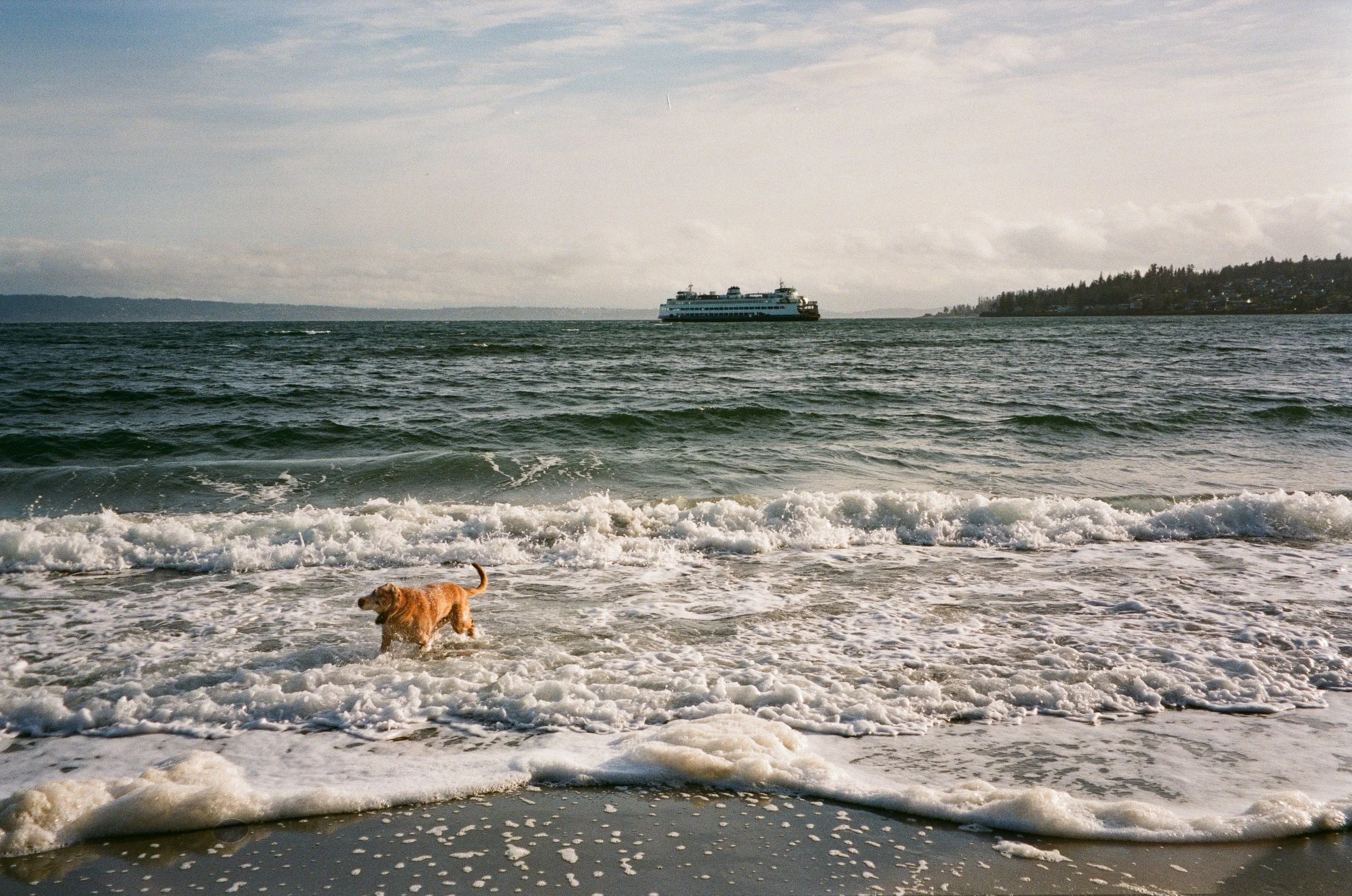 Kingston Ferry Film.jpeg