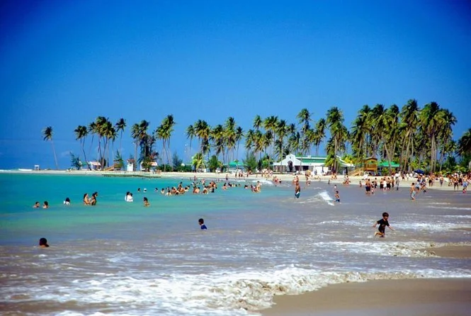 Beach scene with people swimming and playing in the ocean, lined with palm trees and beachside structures under a clear blue sky.