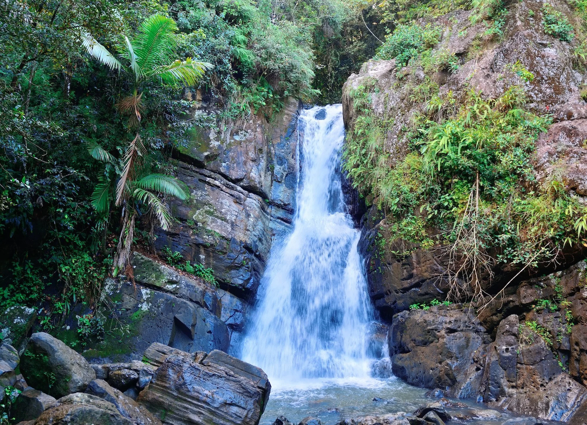 Waterfall flowing down rocks surrounded by dense green tropical vegetation