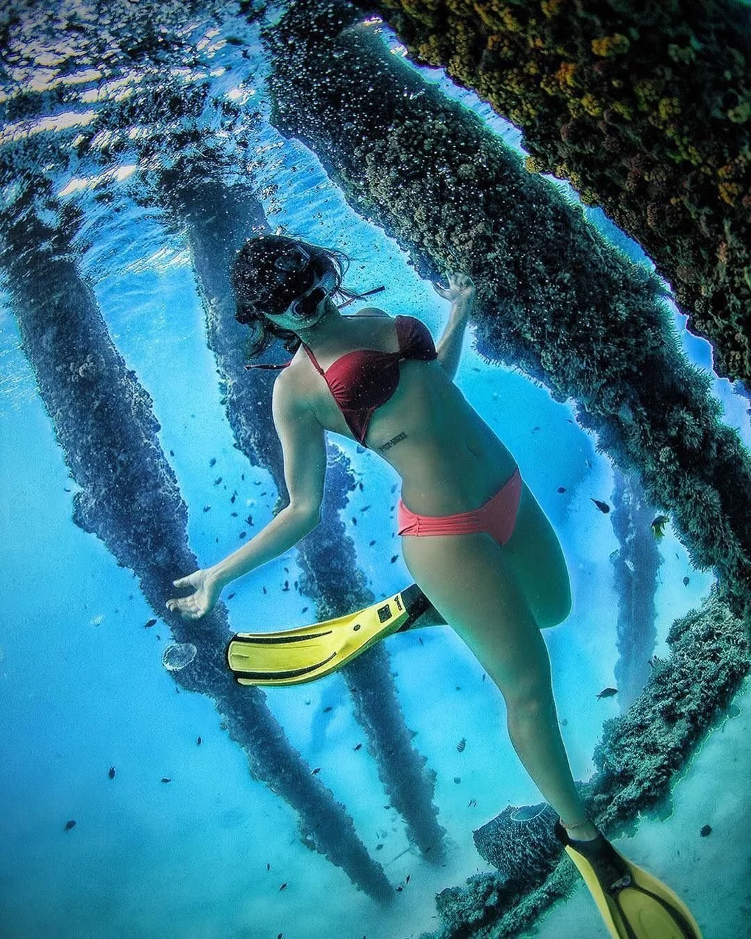 A woman scuba diving underwater near underwater pillars covered in coral, wearing a red bikini, yellow fins, and a diving mask.