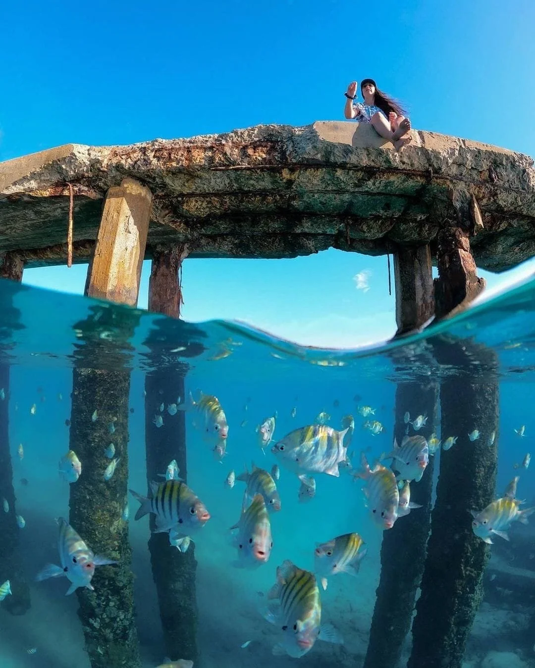 A split view of a woman sitting on a weathered wooden pier above turquoise water, with a school of colorful fish swimming underneath.