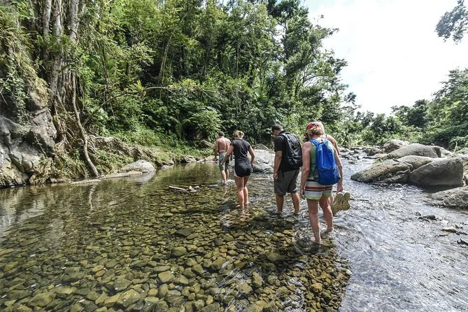 Five people hiking through a shallow rocky river in a forested area.