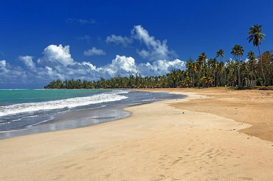 Tropical beach with palm trees, clear blue water, and a partly cloudy sky.