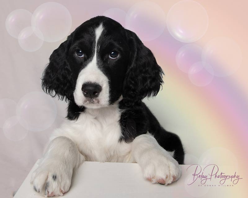 rainbow-and-bubbles-copy.jpg