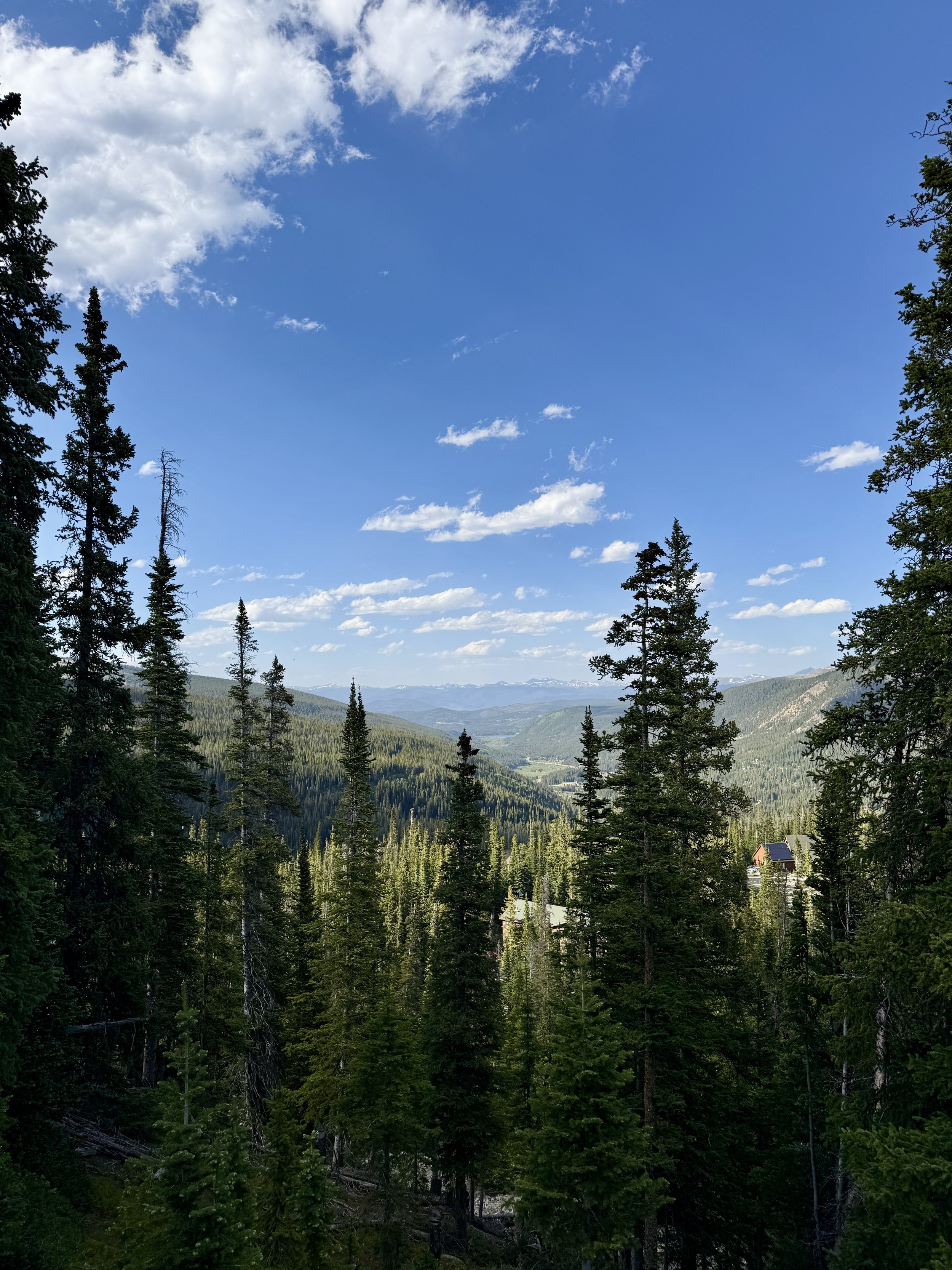 The BuyBreck Team’s Summer Adventures