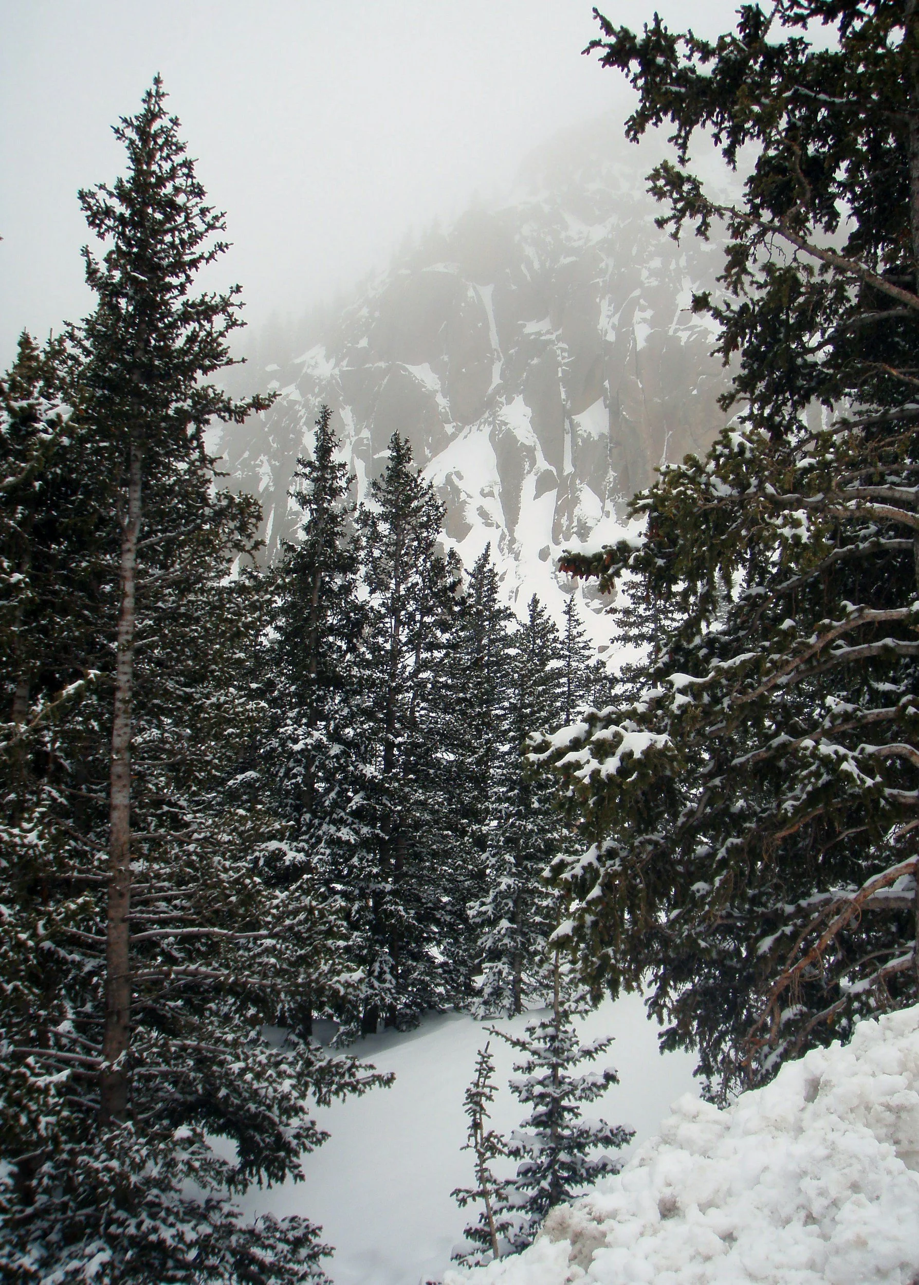 Blue River, CO | Springtime in Blue River, South of Breckenridge