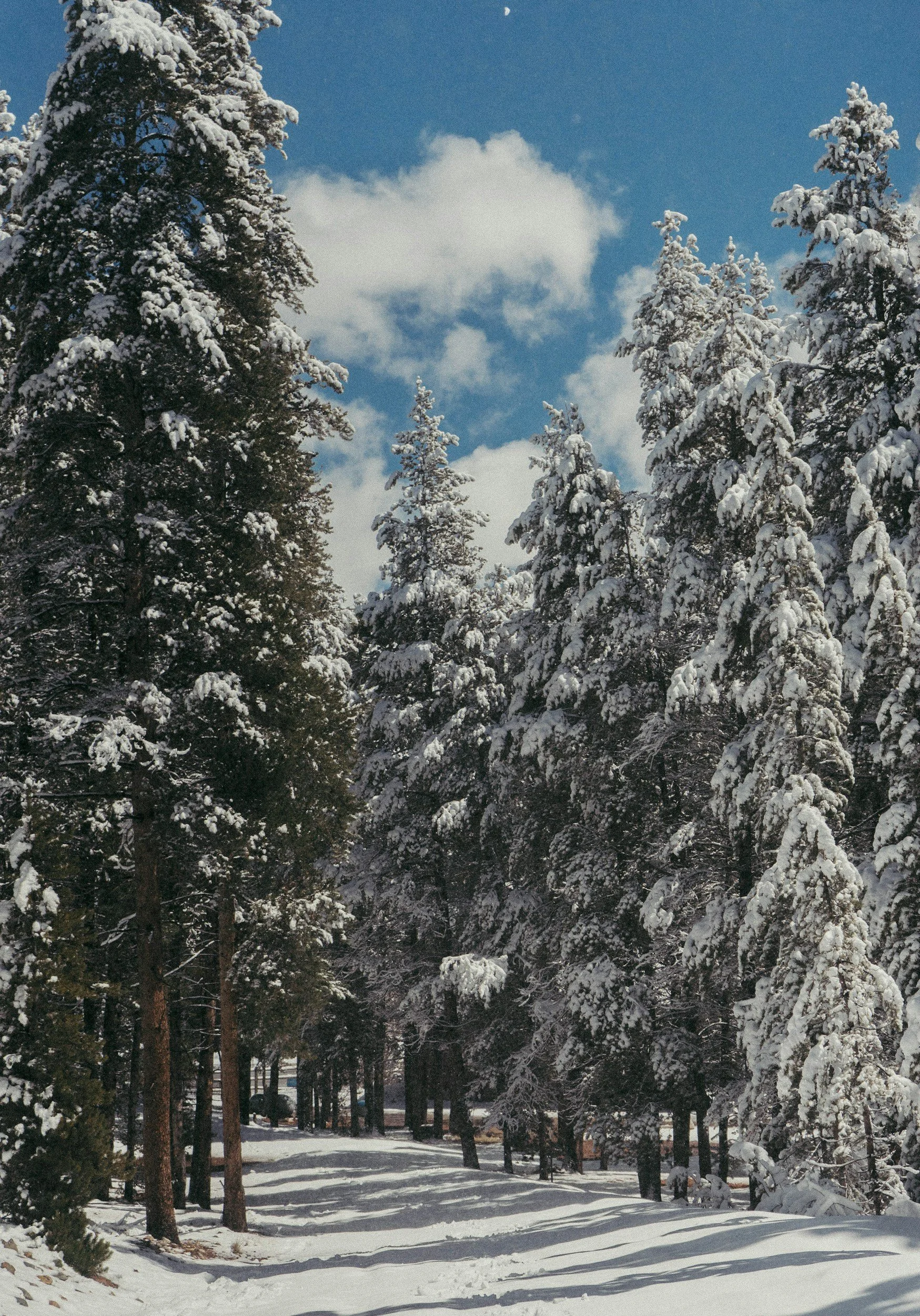 Hartsel, CO | Winter Weather in Harstel, CO!