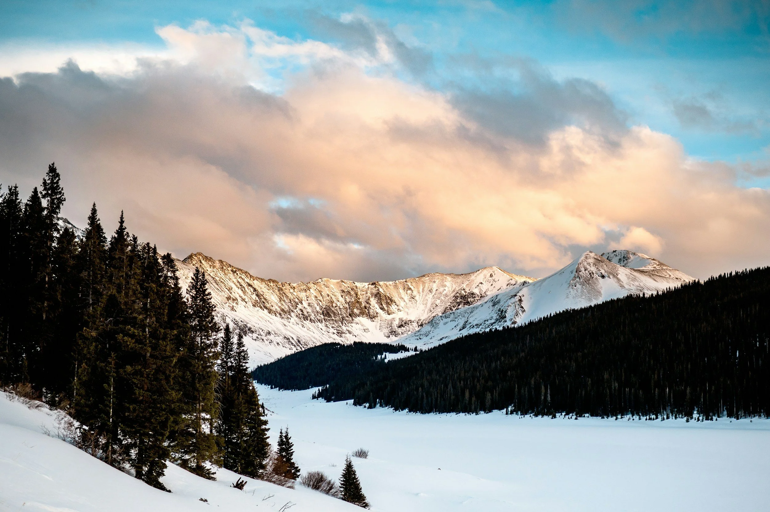 Jefferson, Colorado | Springtime is Here!