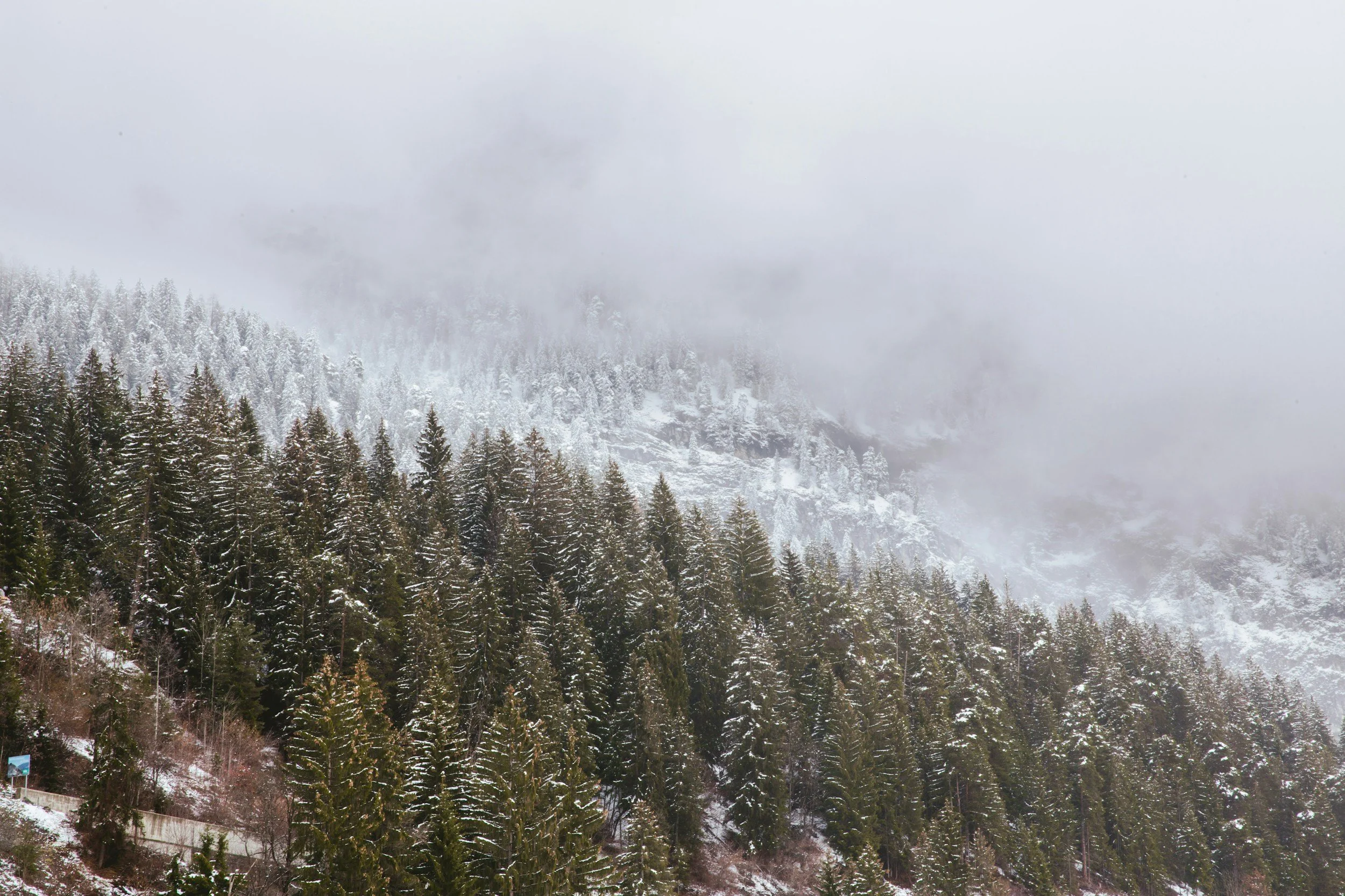 Shawnee, CO | Winter in the Mountains