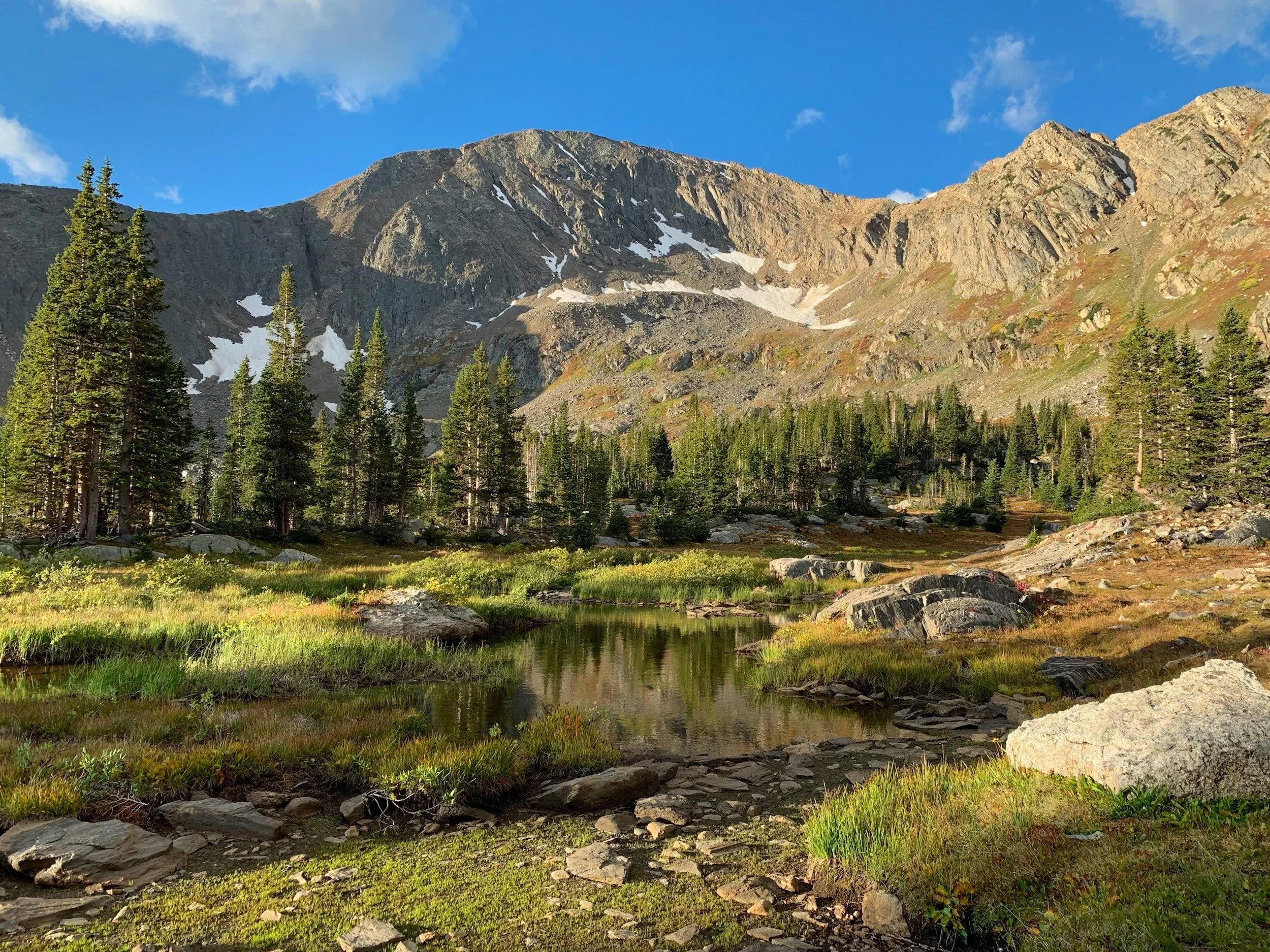 Breaking News: Blue River Enacts Emergency Moratorium on New Short-Term Rental Licenses