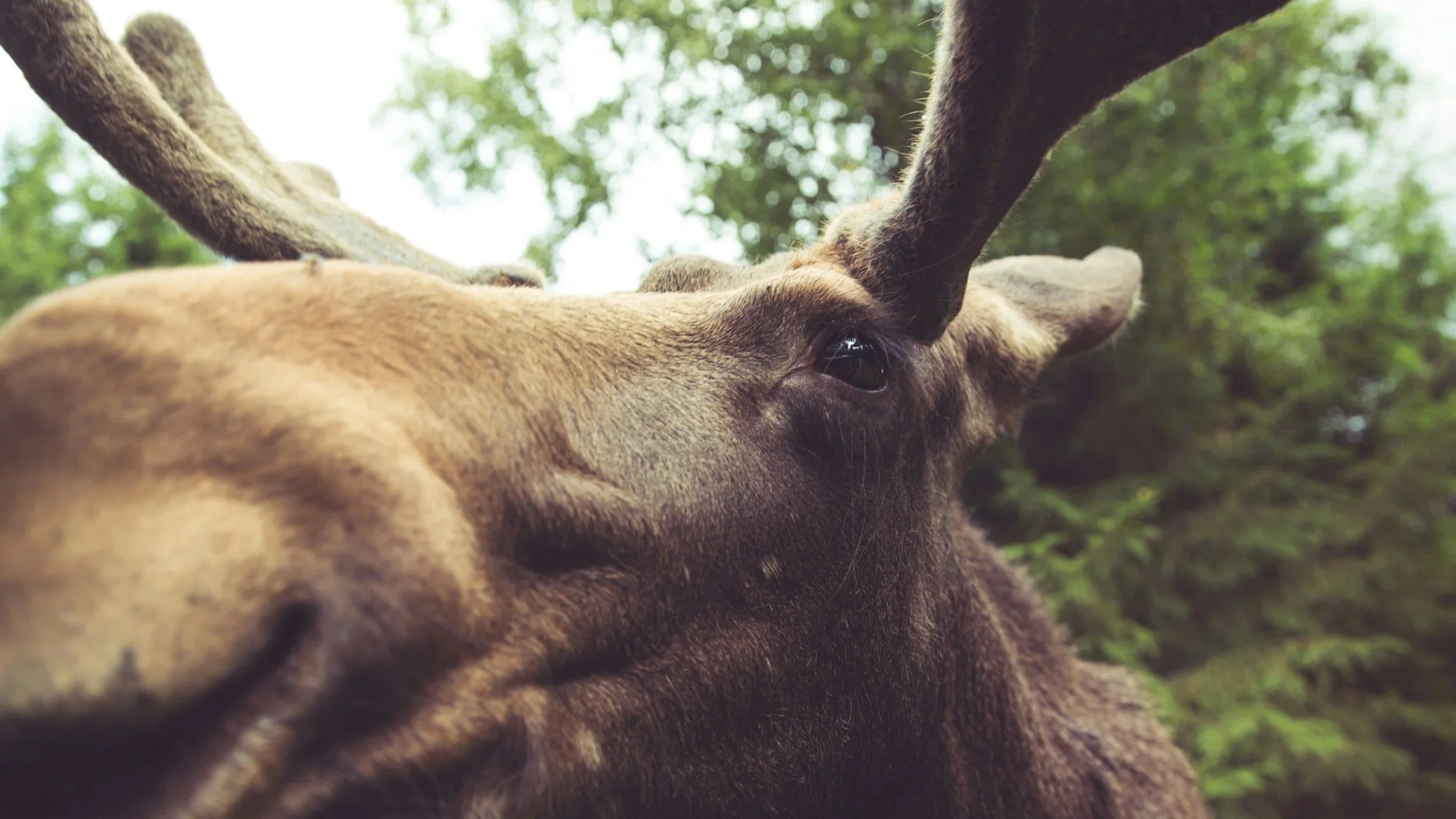 Blue River Passes New Short Term Rental Ordinance for 2026 and Beyond