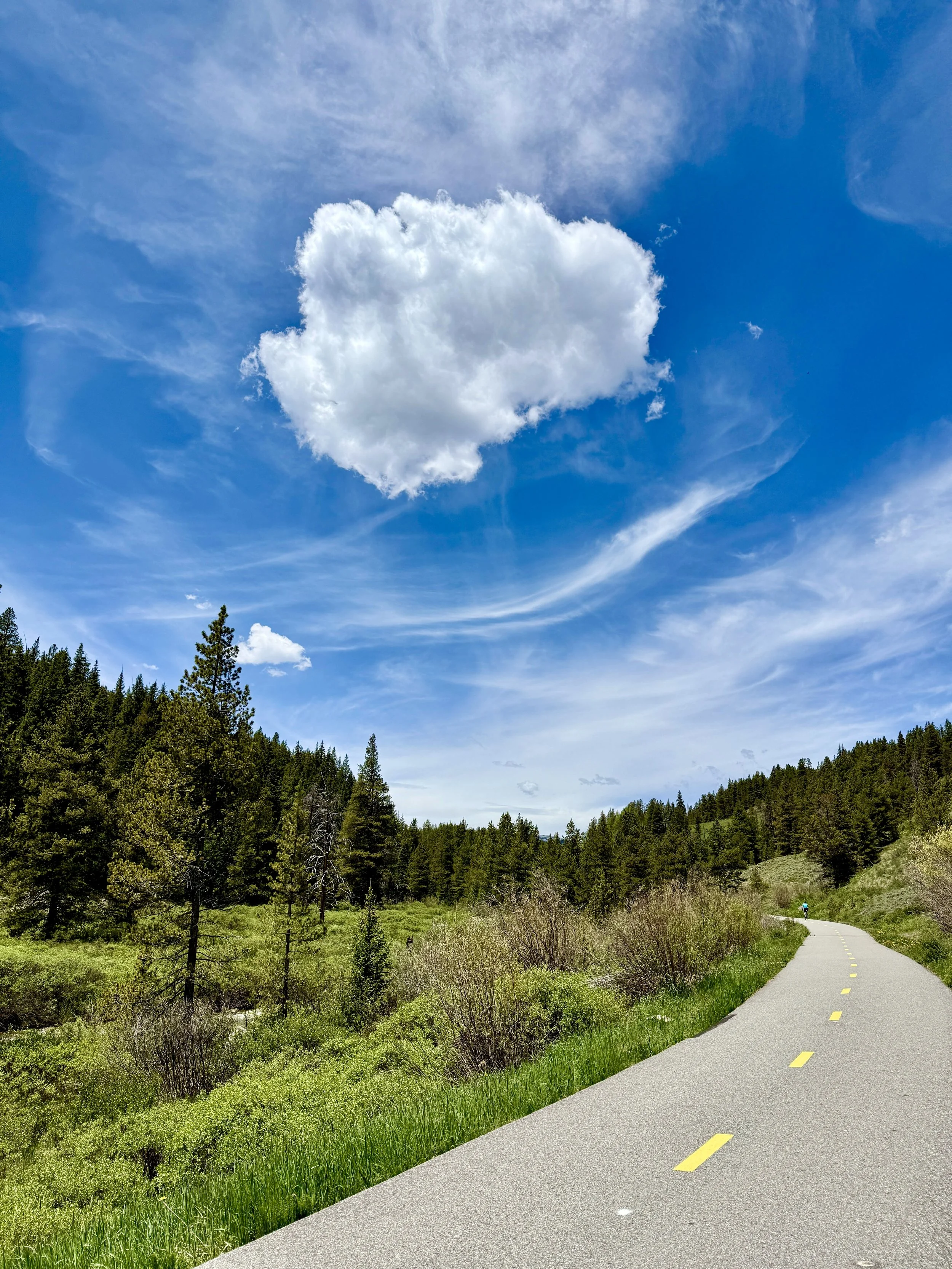 Frisco Colorado Recreation Path Summit County Colorado