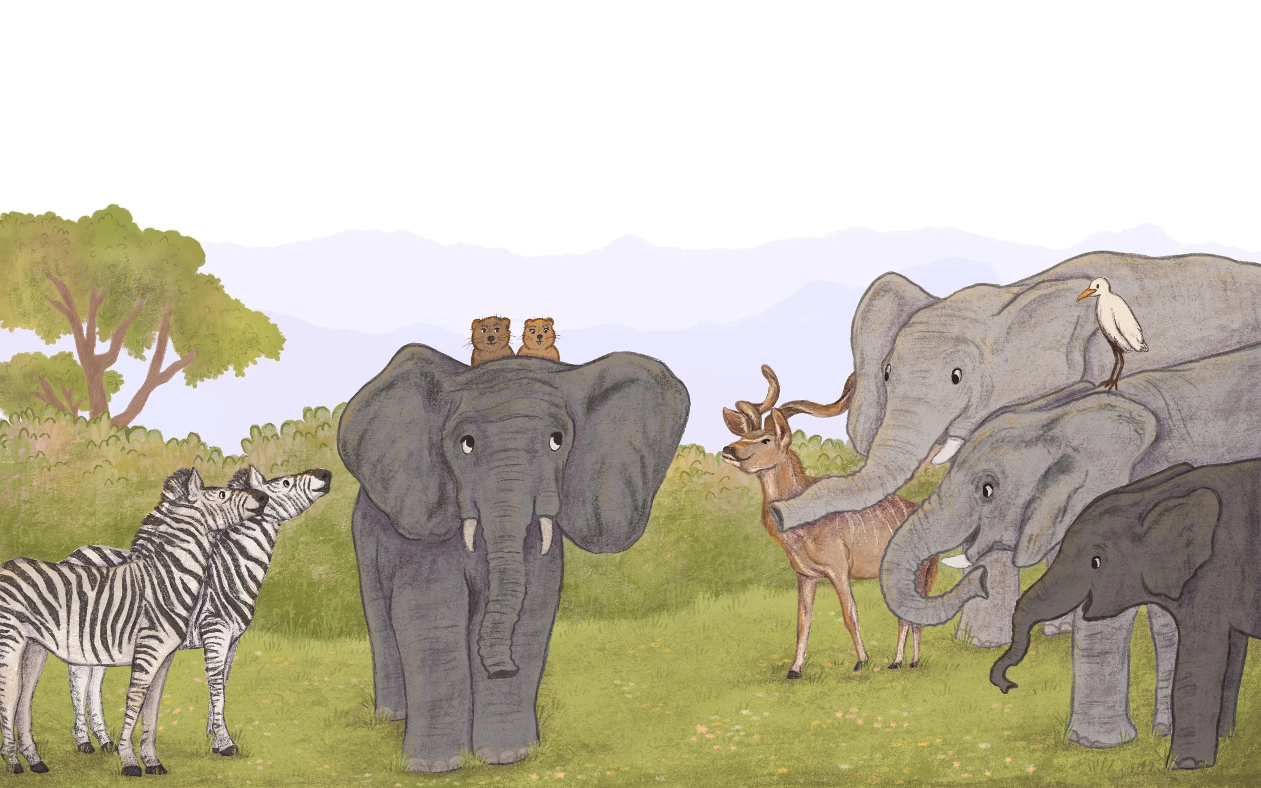 Illustration of a landscape in the addo elephant national park in South Africa with elephants, zebra, dassie / rock hyrax, Kudu, and Cattle Egrets (Bubulcus ibis) or Red-billed Oxpeckers bird